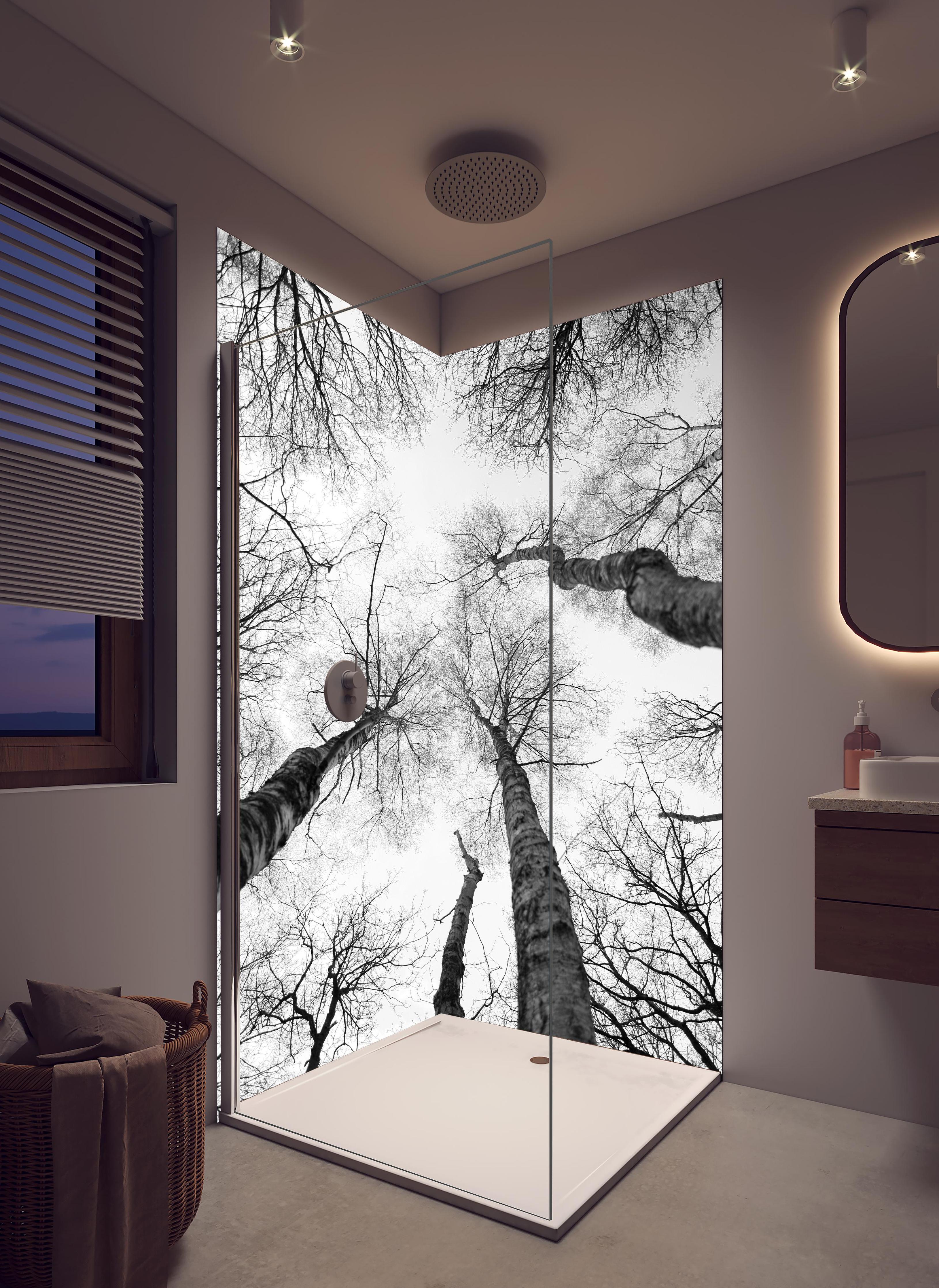 Duschrückwand - Birken im Winter von unten in hellem Badezimmer mit Regenduschkopf - zweiteilige Eck-Duschrückwand