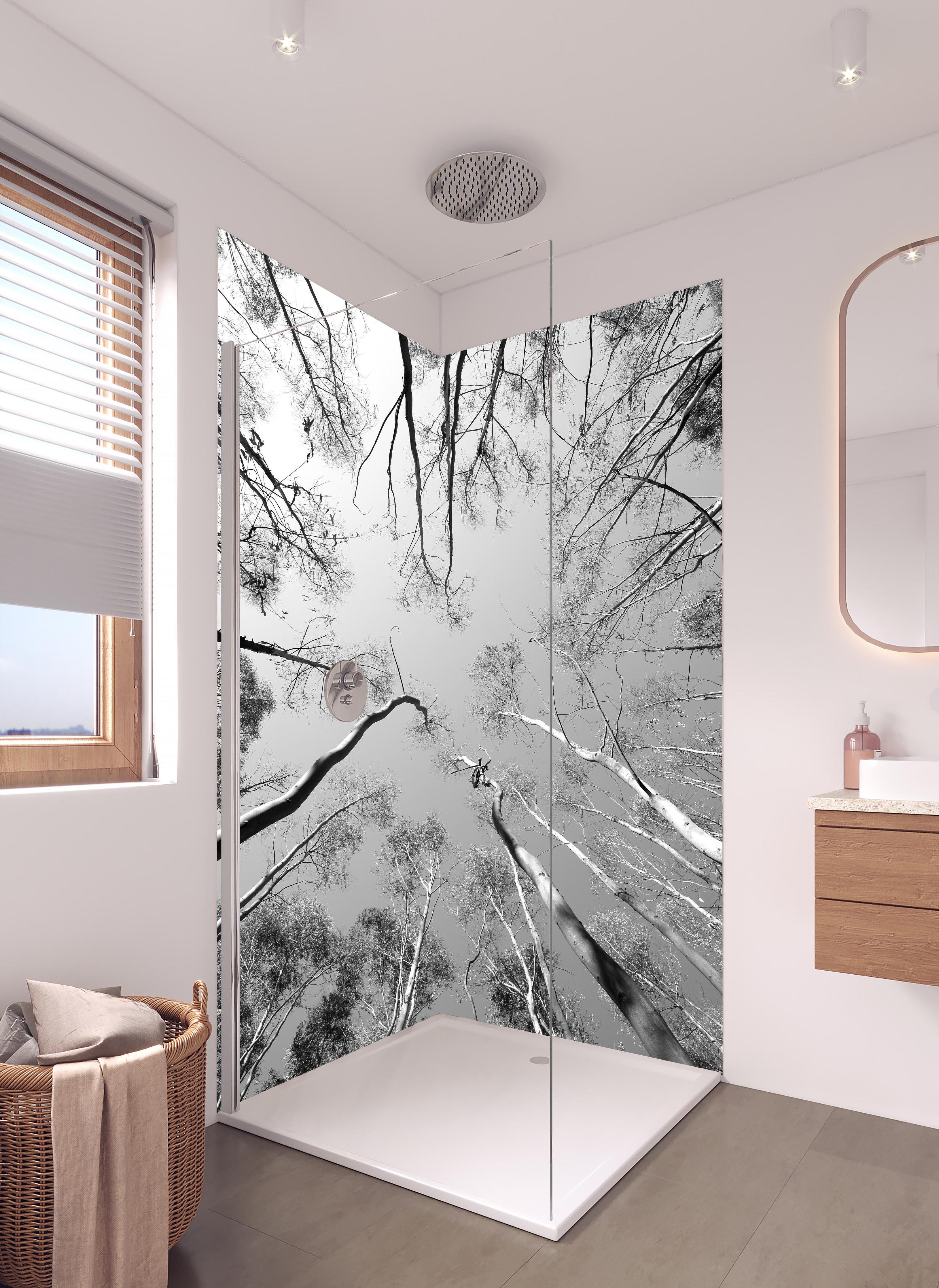 Duschrückwand - Birkenwald im Winter von unten in hellem Badezimmer mit Regenduschkopf - zweiteilige Eck-Duschrückwand