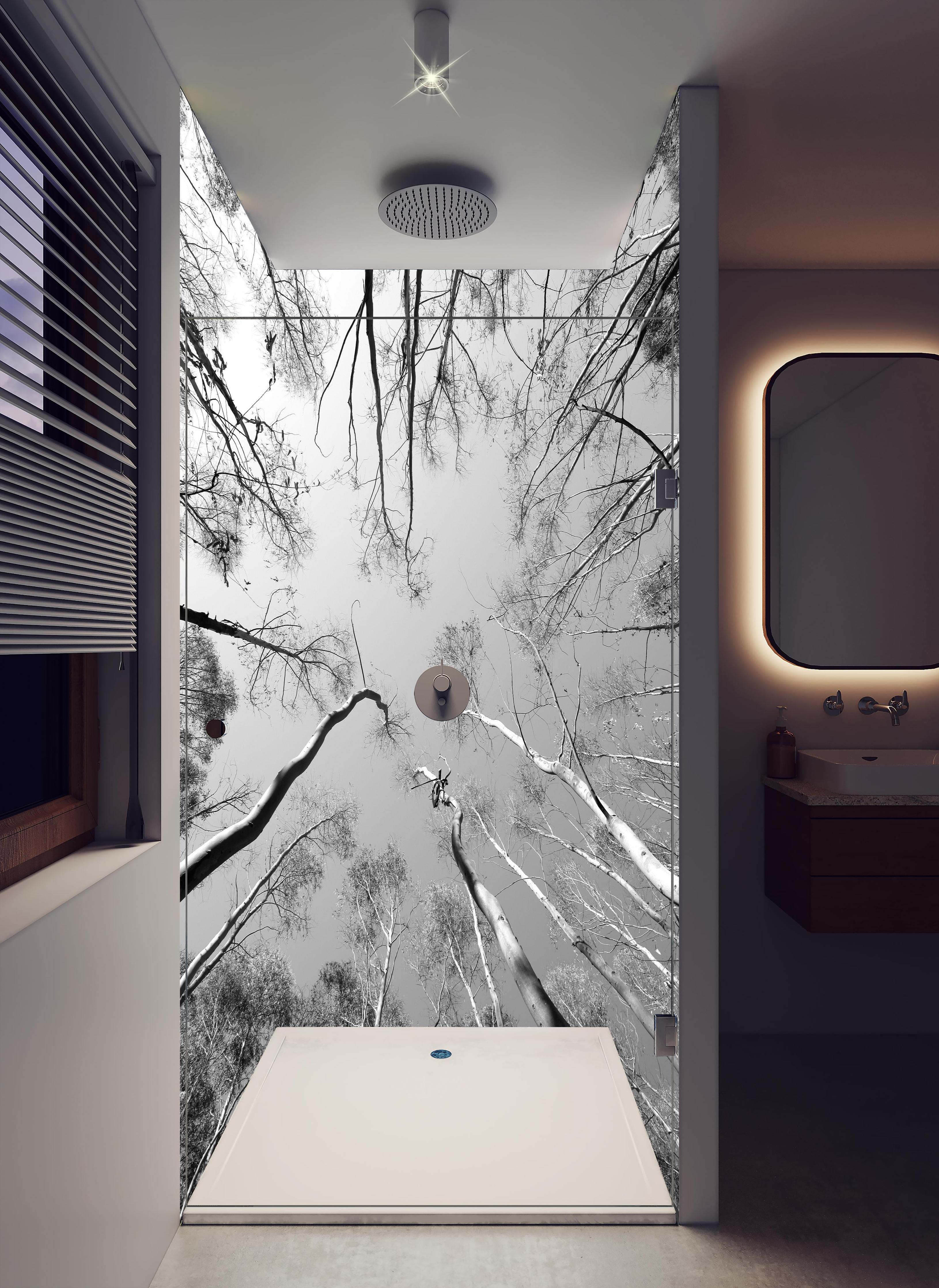 Duschrückwand - Birkenwald im Winter von unten in hellem Badezimmer mit Regenduschkopf - zweiteilige Eck-Duschrückwand