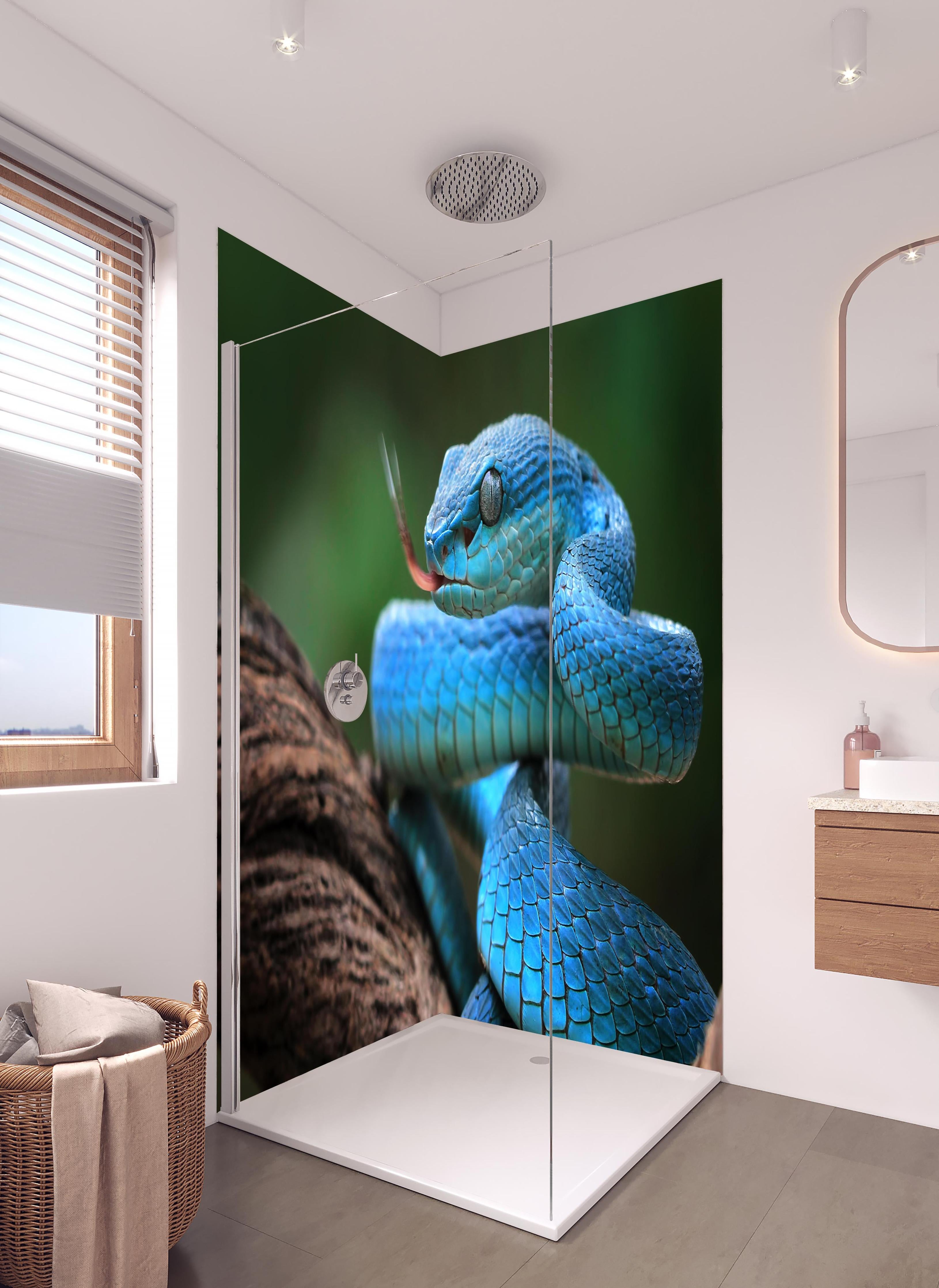 Duschrückwand - Blaue insularis Vipern-Nahaufnahme in hellem Badezimmer mit Regenduschkopf - zweiteilige Eck-Duschrückwand