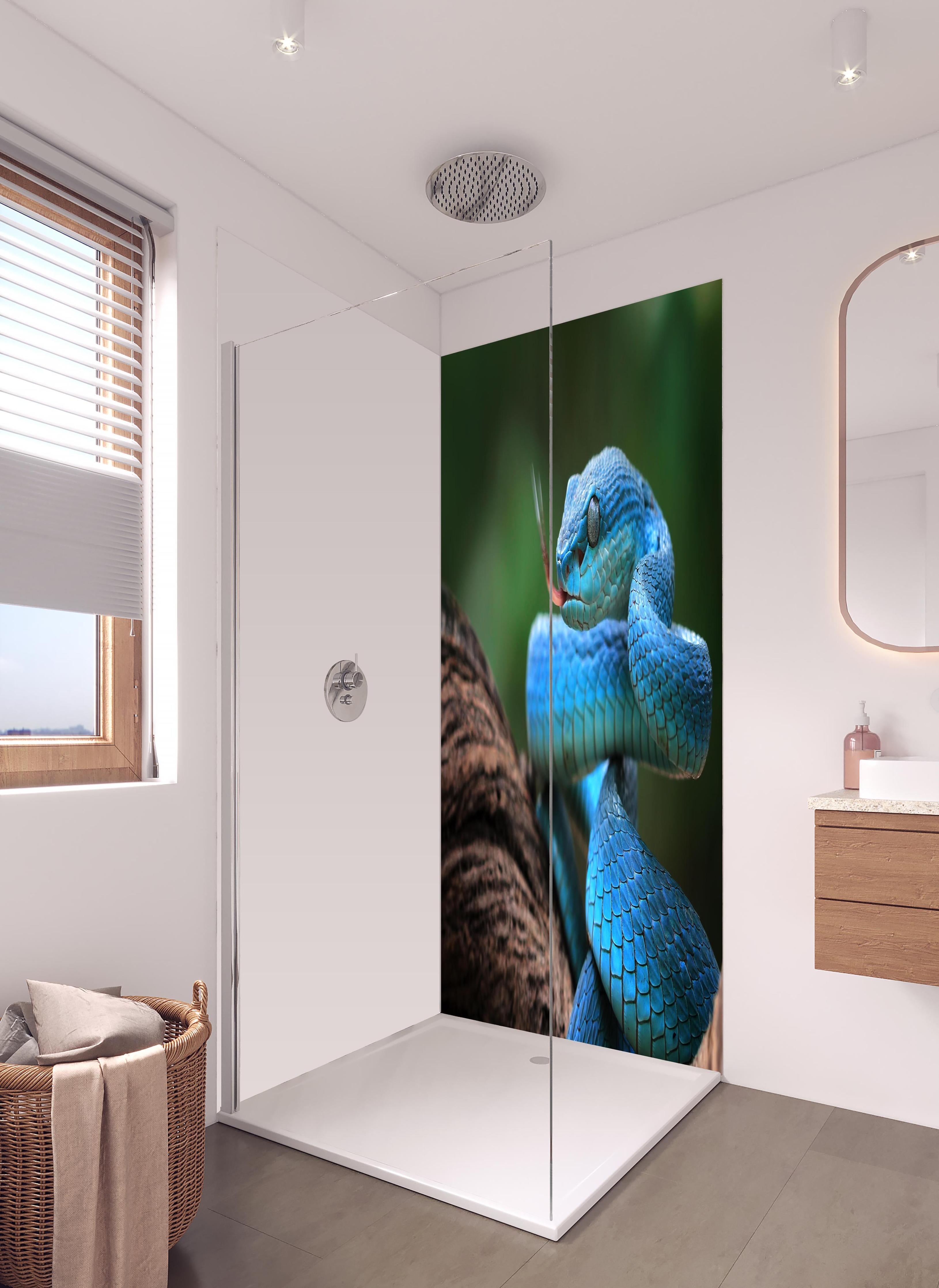 Duschrückwand - Blaue insularis Vipern-Nahaufnahme in hellem Badezimmer mit Regenduschkopf - zweiteilige Eck-Duschrückwand