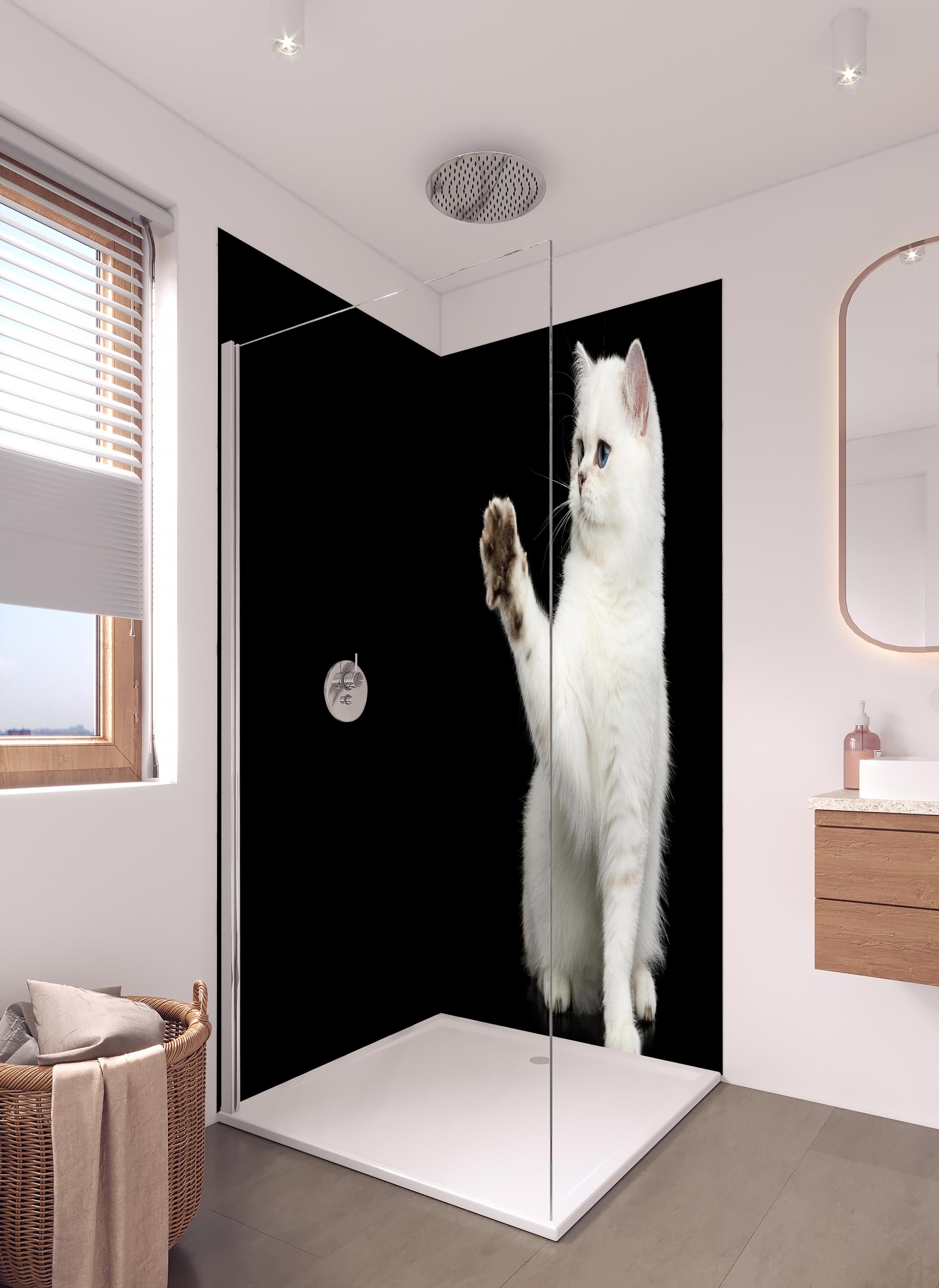 Duschrückwand - British weiße Katze in hellem Badezimmer mit Regenduschkopf - zweiteilige Eck-Duschrückwand