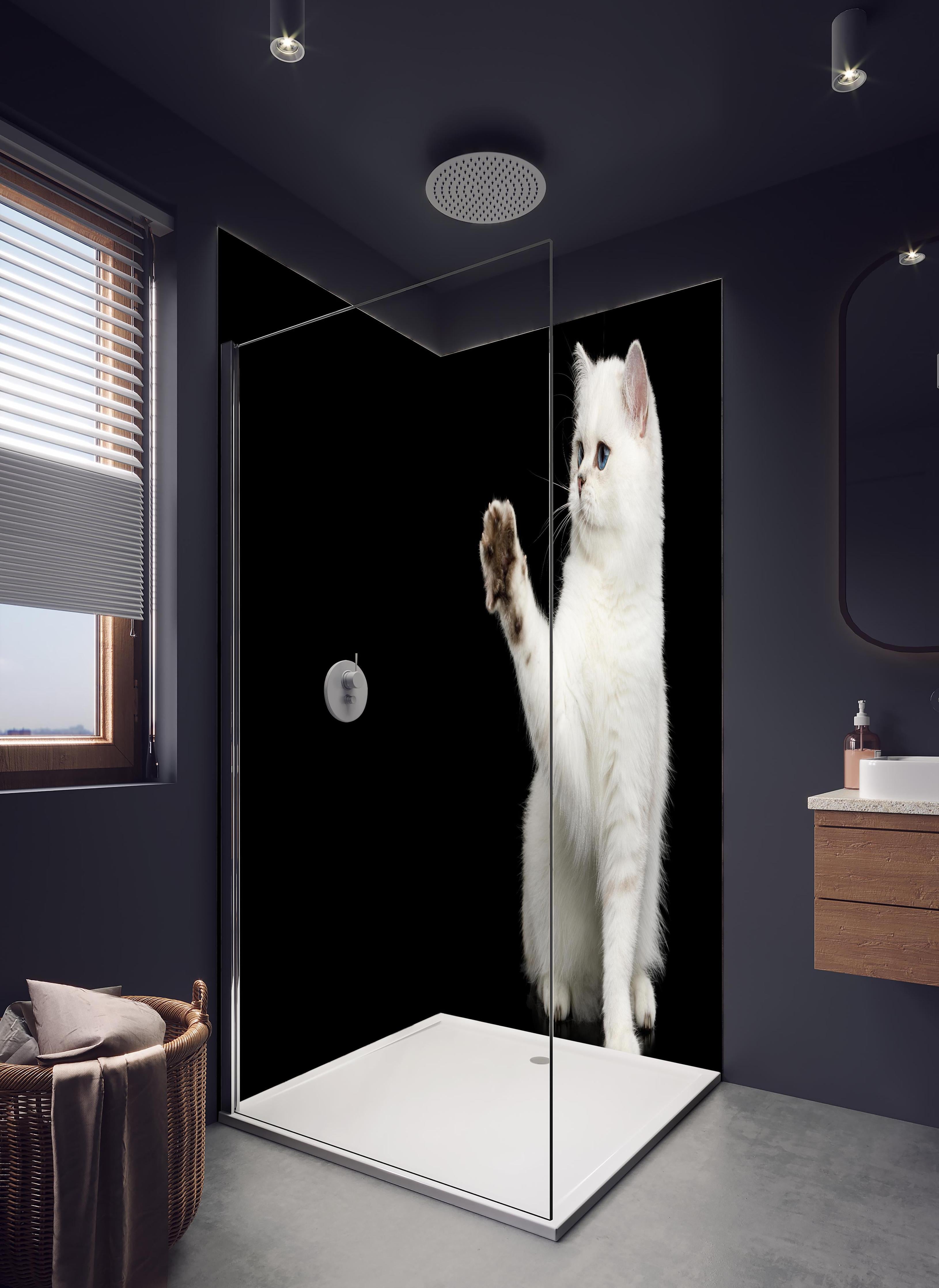 Duschrückwand - British weiße Katze in hellem Badezimmer mit Regenduschkopf - zweiteilige Eck-Duschrückwand