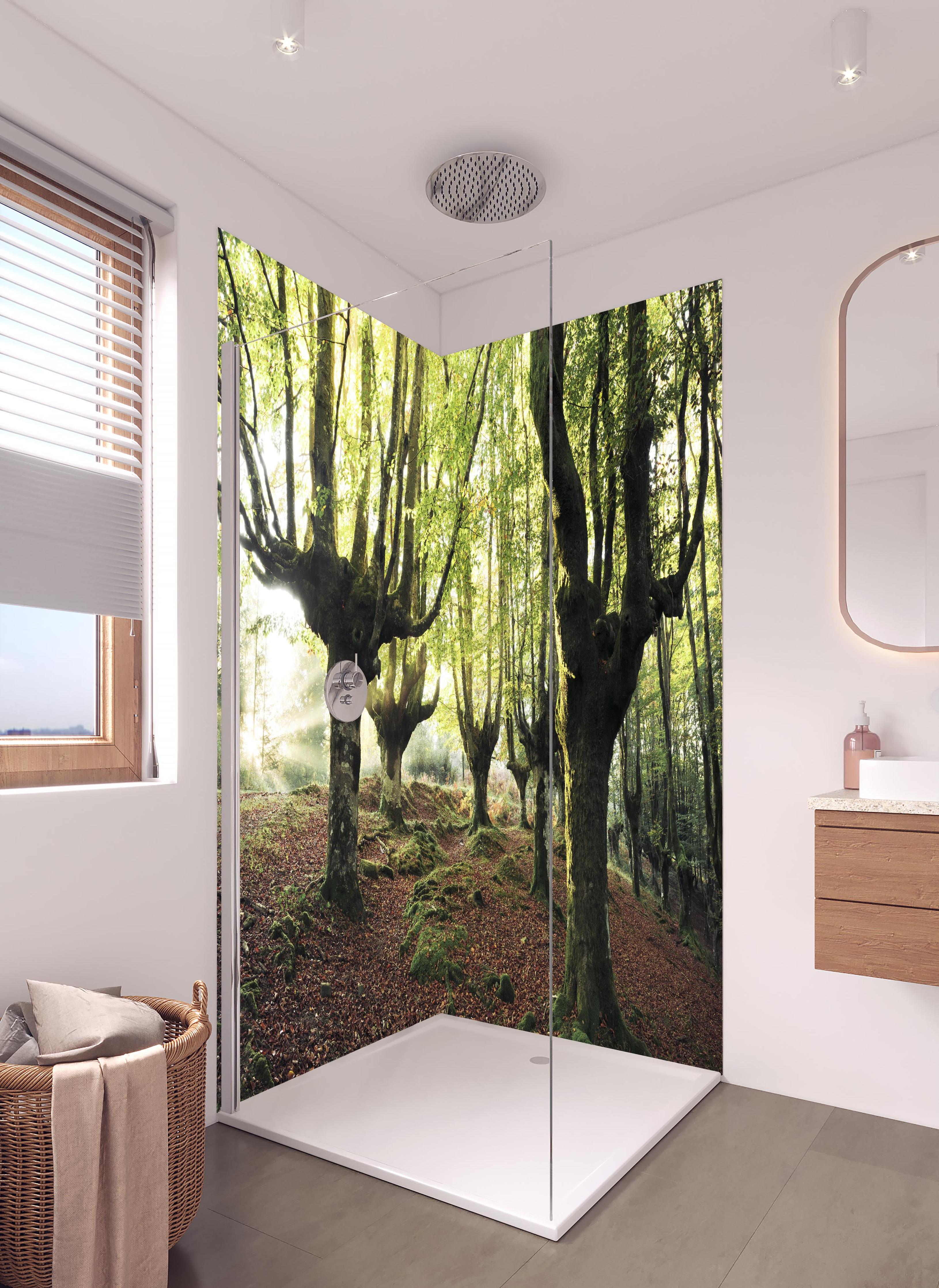 Duschrückwand - Buchenwald in Spanien in hellem Badezimmer mit Regenduschkopf - zweiteilige Eck-Duschrückwand
