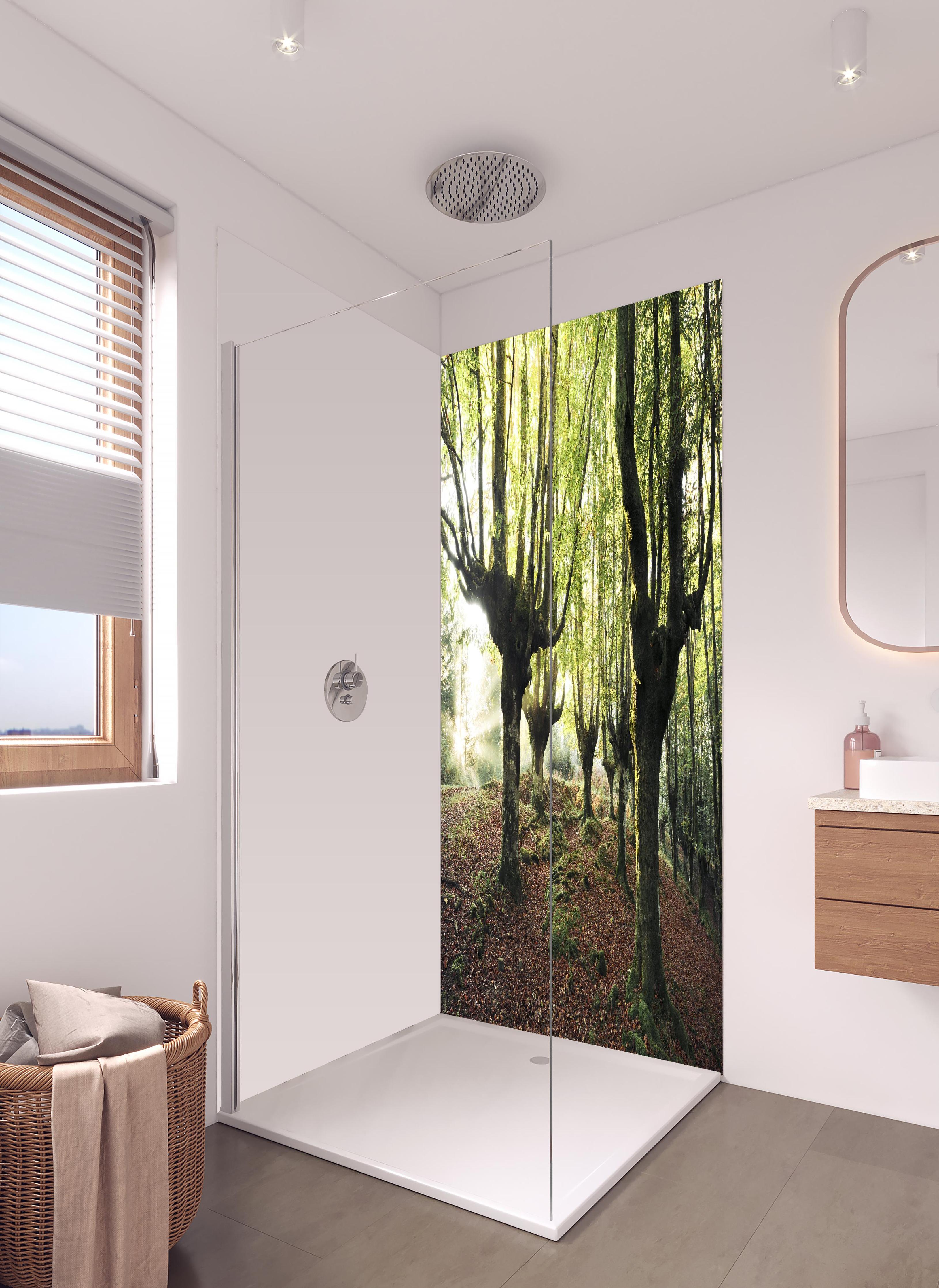 Duschrückwand - Buchenwald in Spanien in hellem Badezimmer mit Regenduschkopf - zweiteilige Eck-Duschrückwand