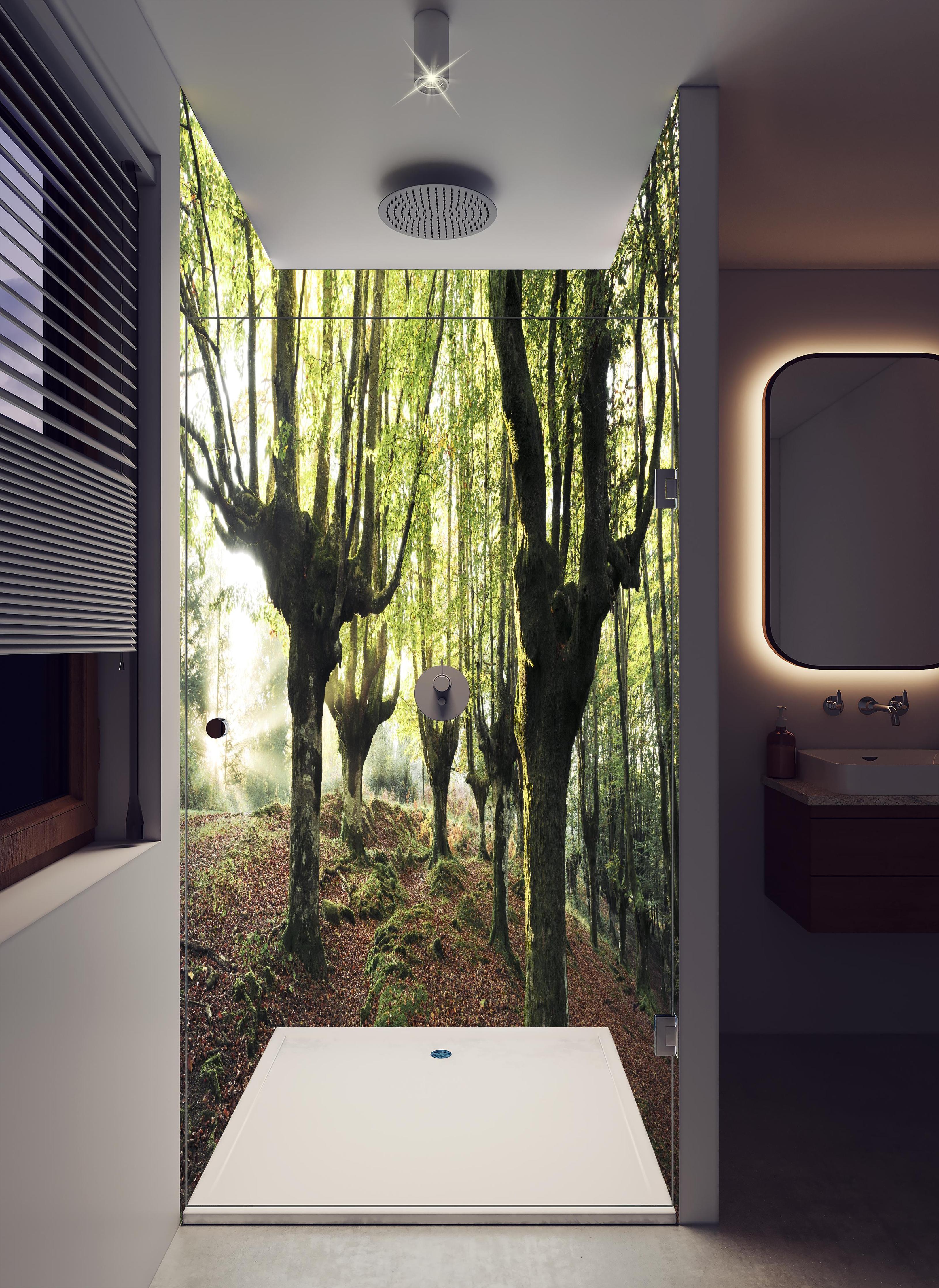 Duschrückwand - Buchenwald in Spanien in hellem Badezimmer mit Regenduschkopf - zweiteilige Eck-Duschrückwand