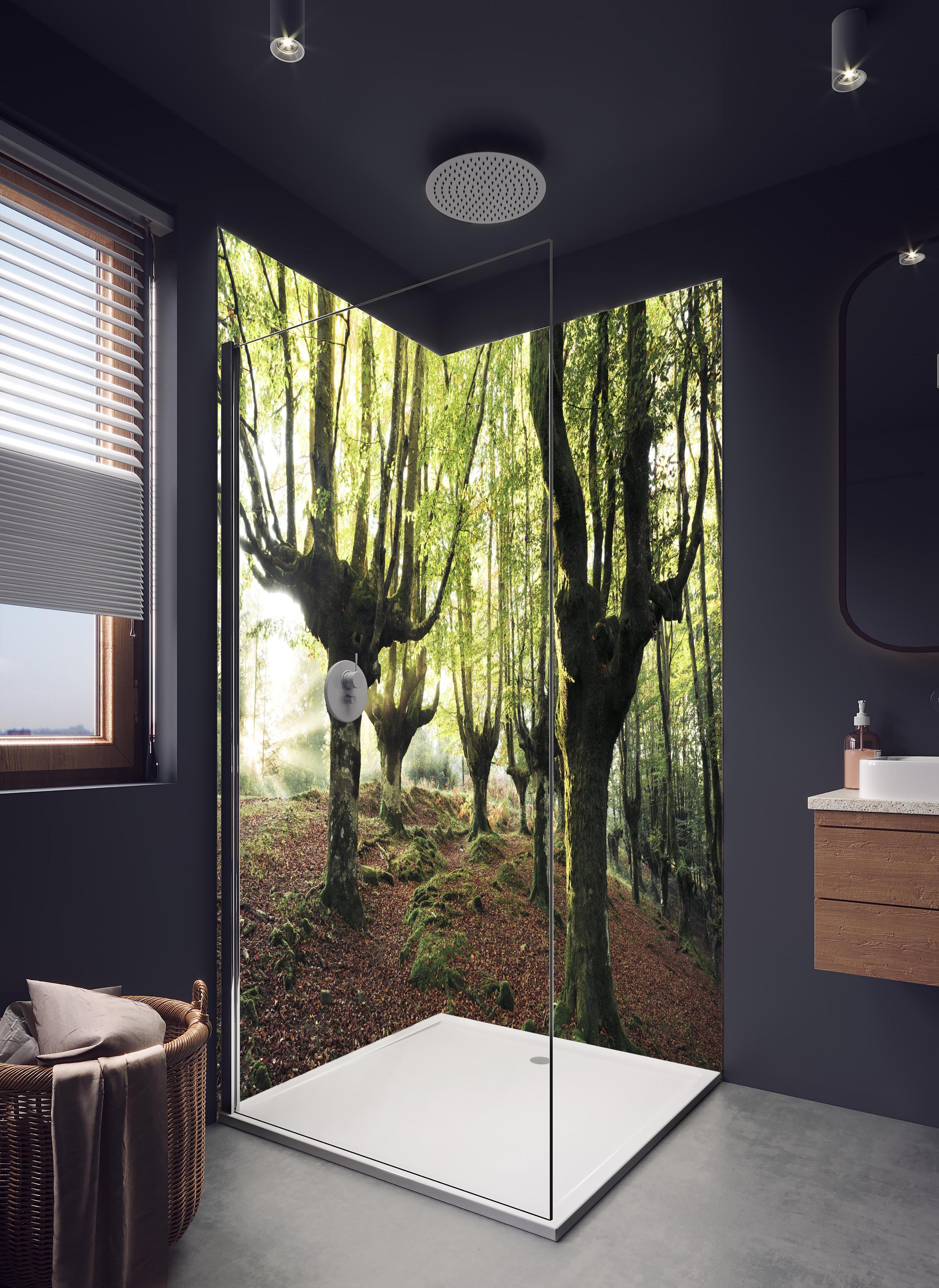 Duschrückwand - Buchenwald in Spanien in hellem Badezimmer mit Regenduschkopf - zweiteilige Eck-Duschrückwand