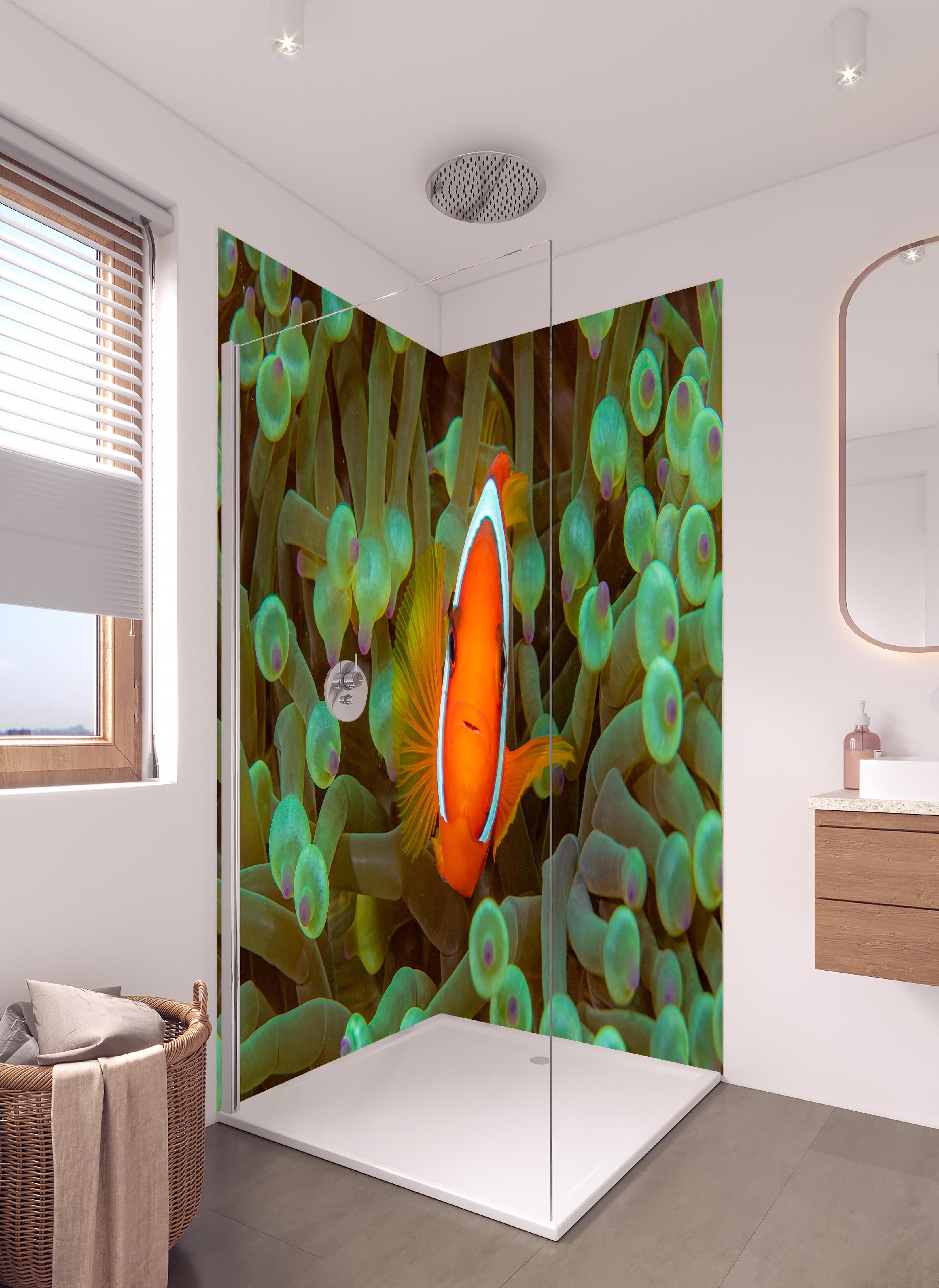 Duschrückwand - Clownfisch - Unterwasserwelt in hellem Badezimmer mit Regenduschkopf - zweiteilige Eck-Duschrückwand