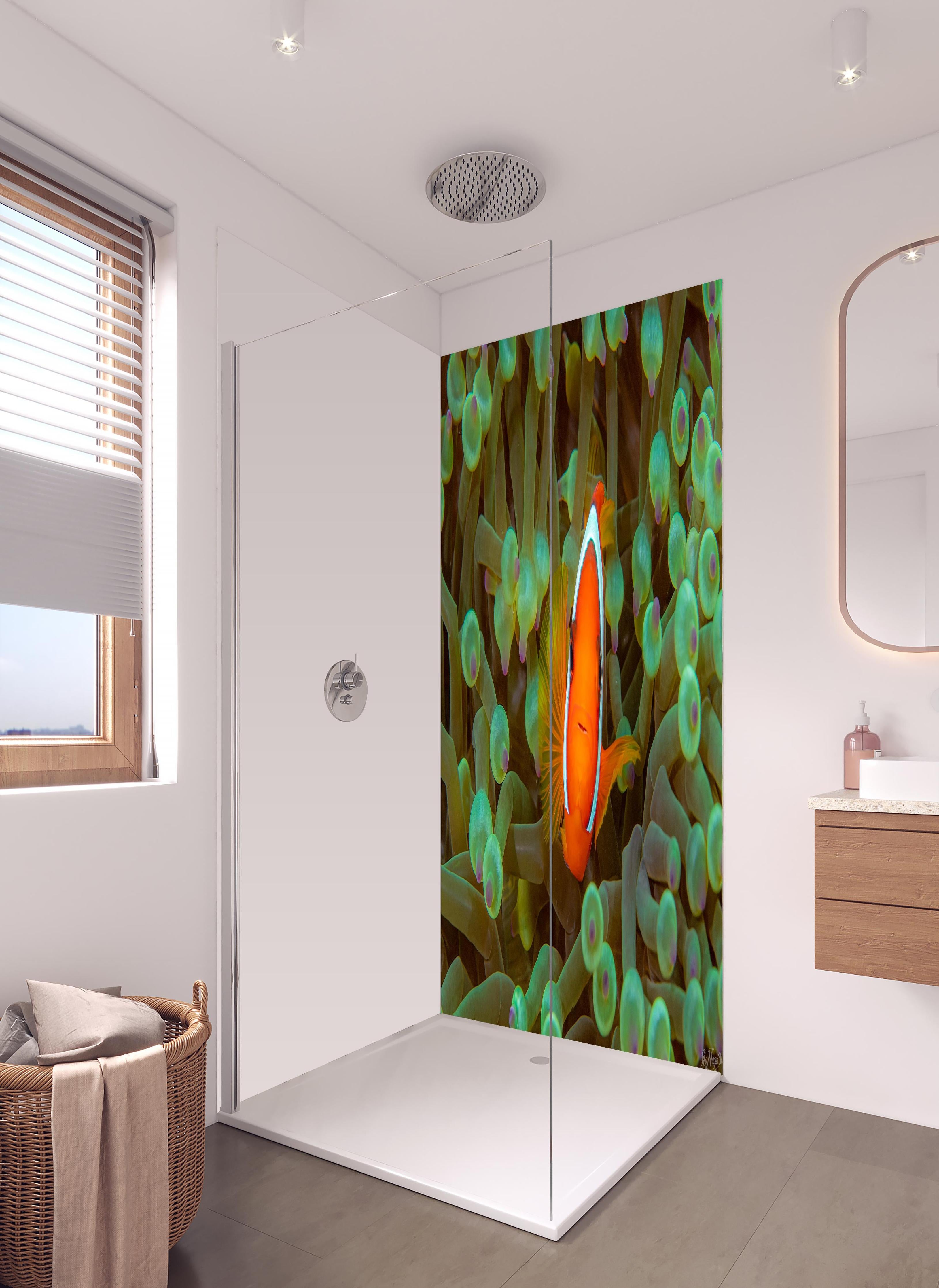 Duschrückwand - Clownfisch - Unterwasserwelt in hellem Badezimmer mit Regenduschkopf - zweiteilige Eck-Duschrückwand