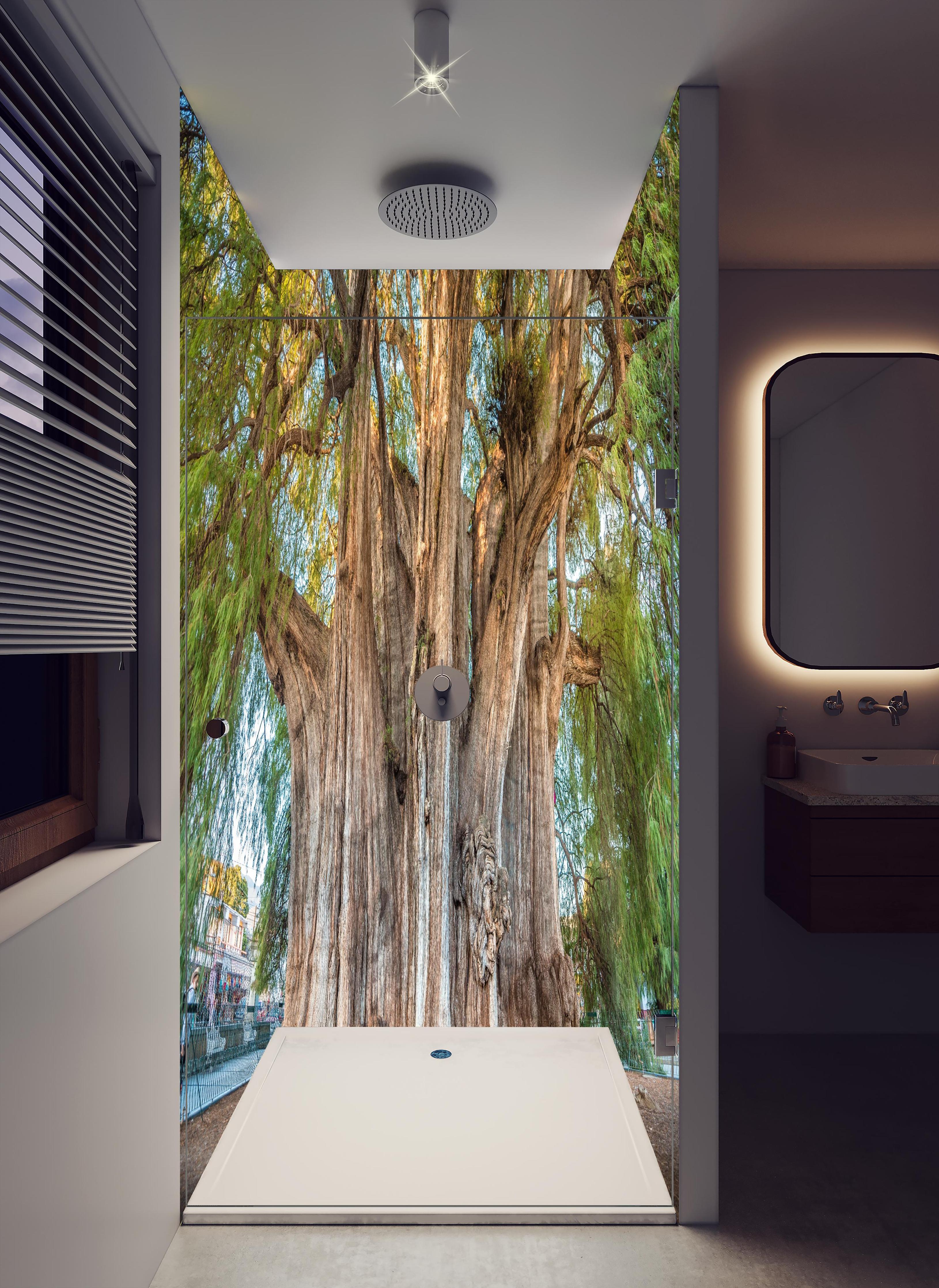 Duschrückwand - Der größte Baum der Welt - Mexico in hellem Badezimmer mit Regenduschkopf - zweiteilige Eck-Duschrückwand