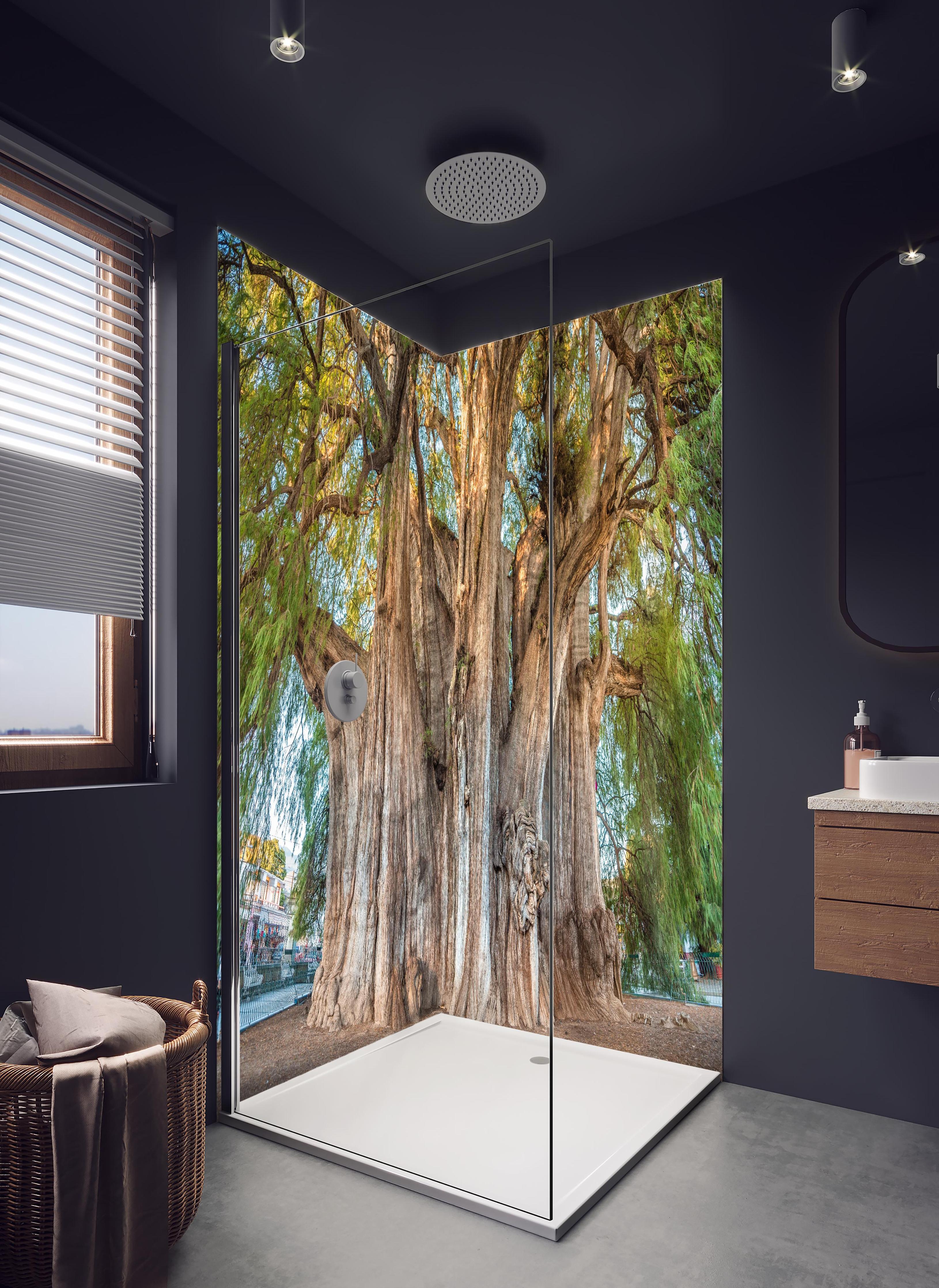 Duschrückwand - Der größte Baum der Welt - Mexico in hellem Badezimmer mit Regenduschkopf - zweiteilige Eck-Duschrückwand