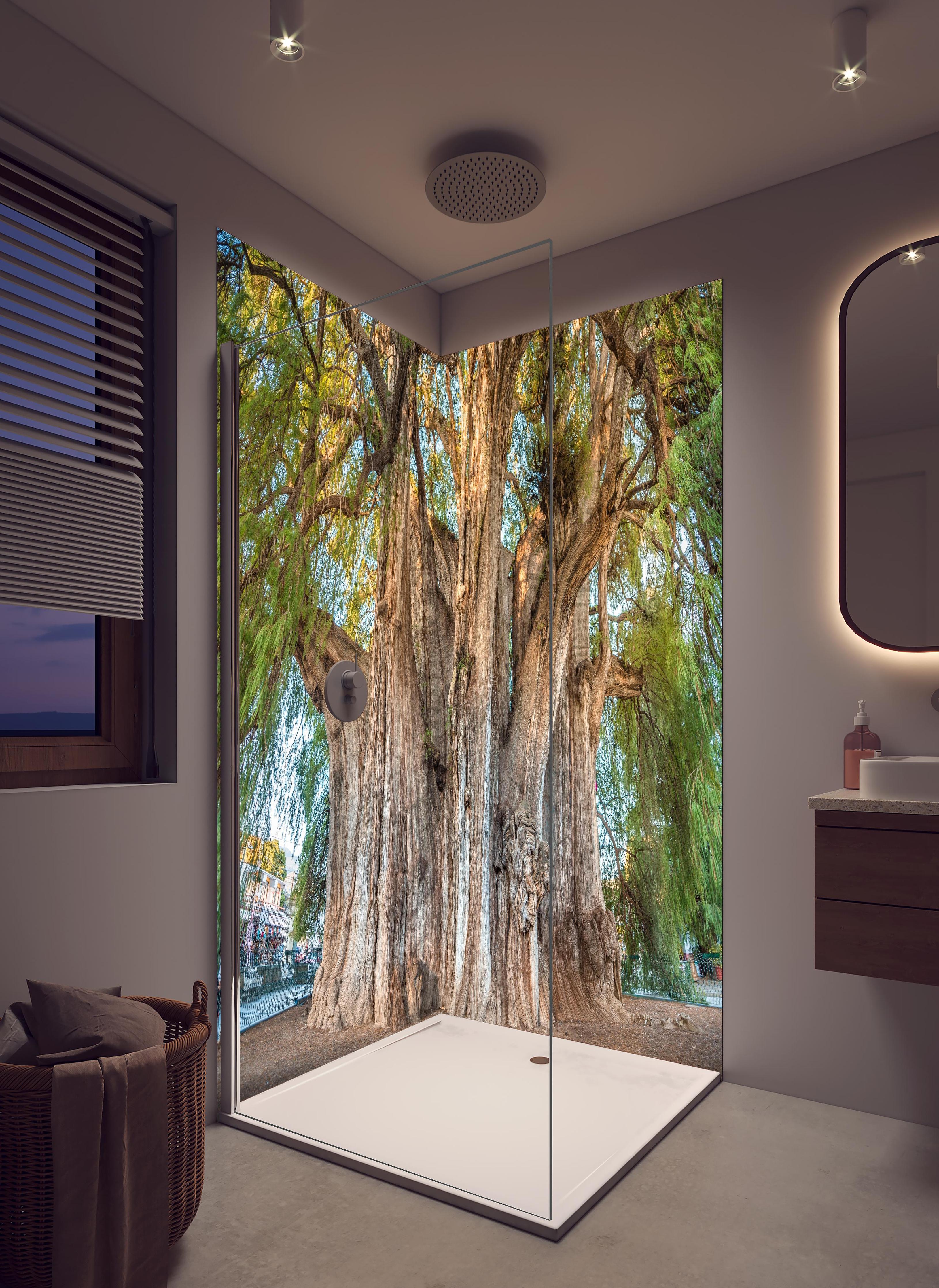 Duschrückwand - Der größte Baum der Welt - Mexico in hellem Badezimmer mit Regenduschkopf - zweiteilige Eck-Duschrückwand