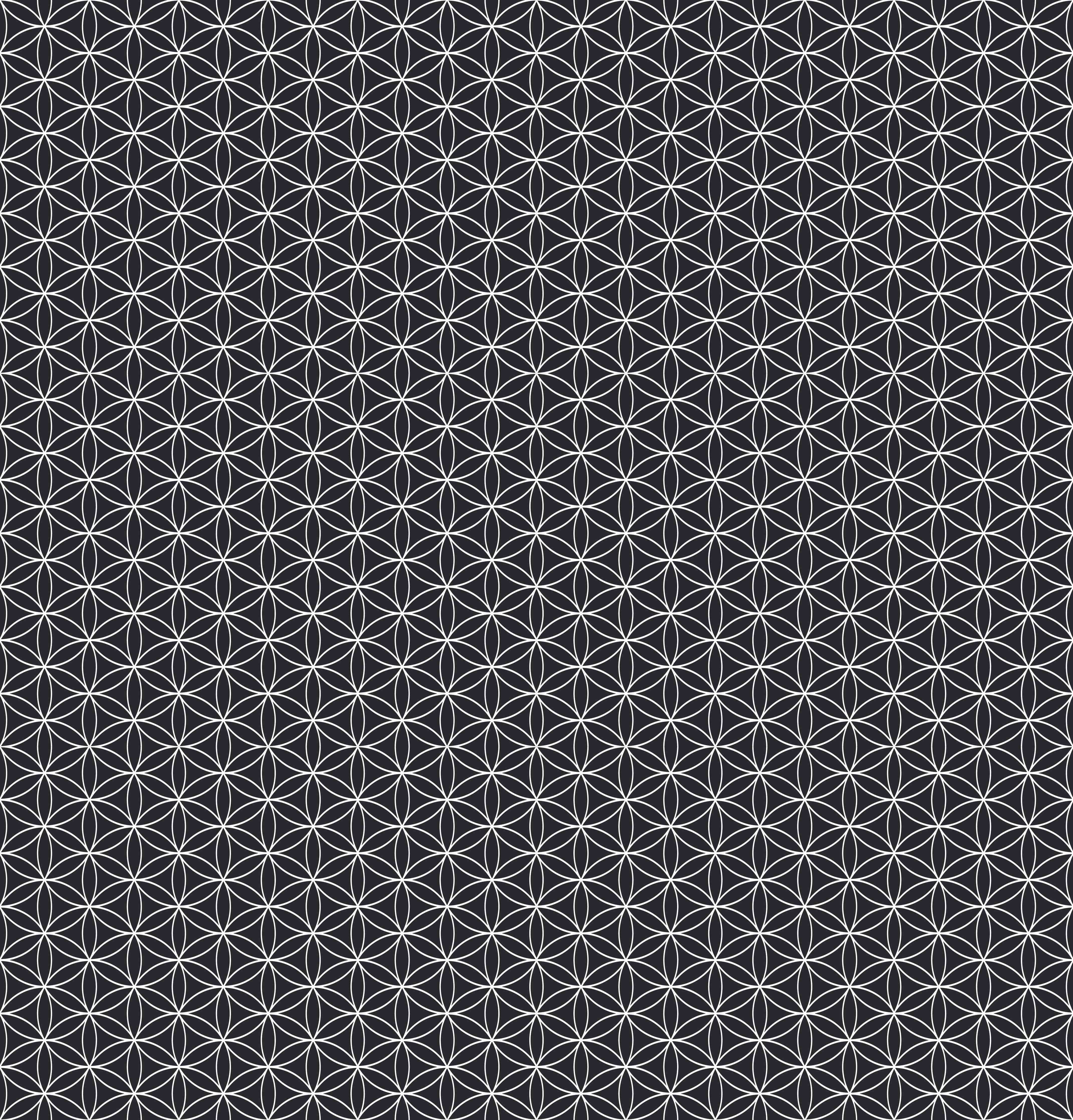 Duschrückwand-Detaillierte geometrische Muster in Schwarz und Grau