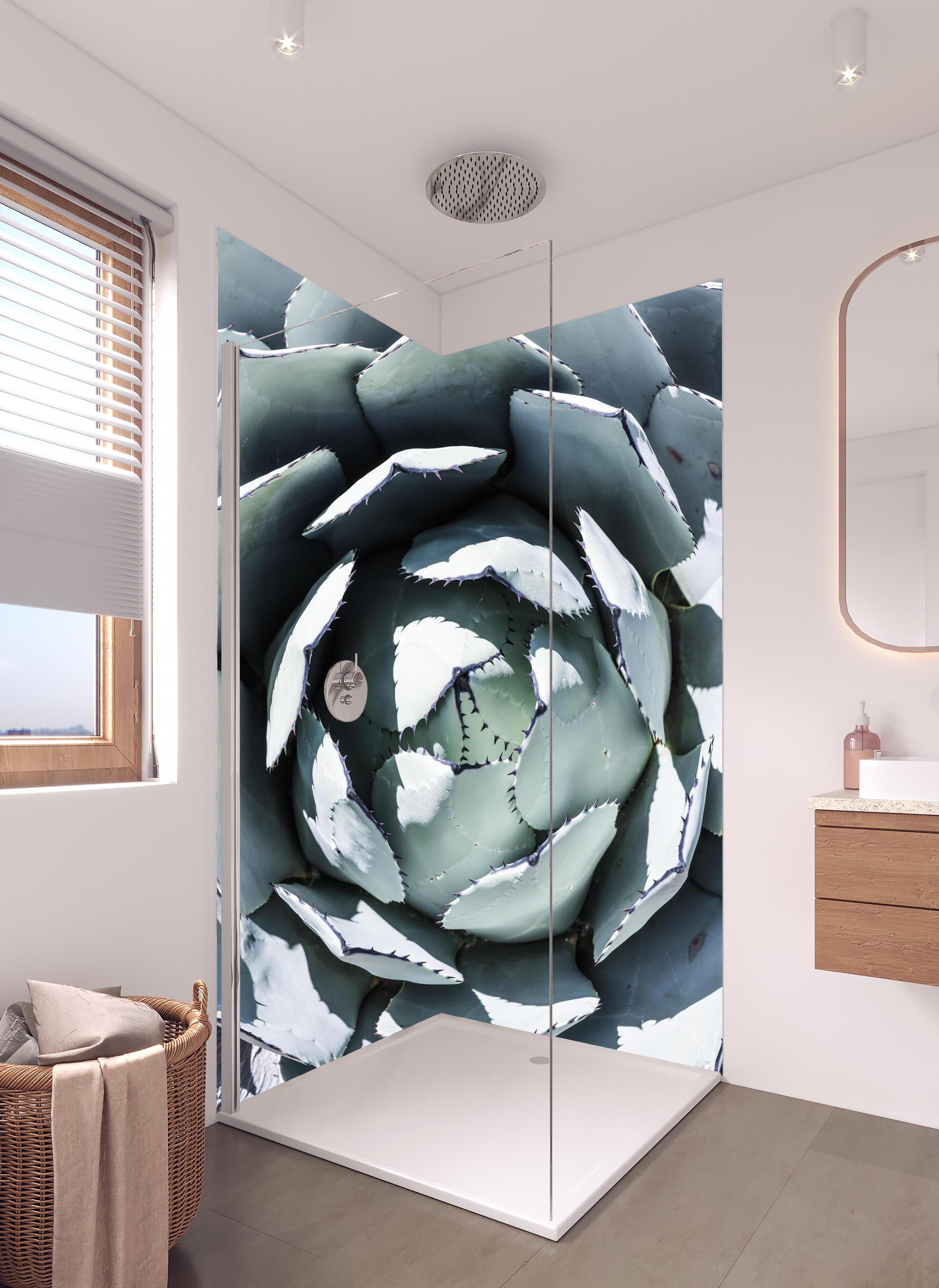Duschrückwand - Detailreiche Blau-Weiße Agavenblätter Makroaufnahme in hellem Badezimmer mit Regenduschkopf - zweiteilige Eck-Duschrückwand