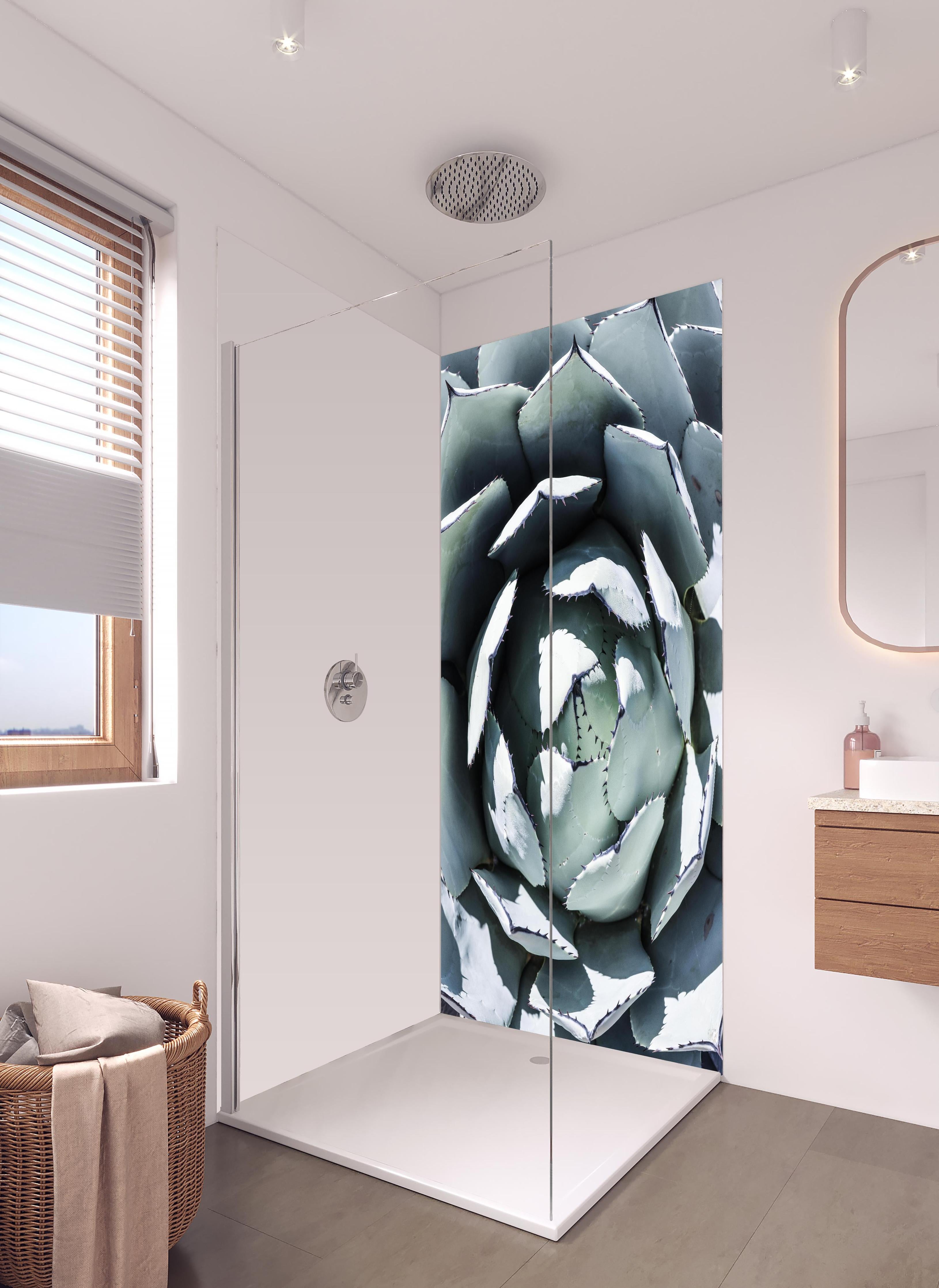 Duschrückwand - Detailreiche Blau-Weiße Agavenblätter Makroaufnahme in hellem Badezimmer mit Regenduschkopf - zweiteilige Eck-Duschrückwand