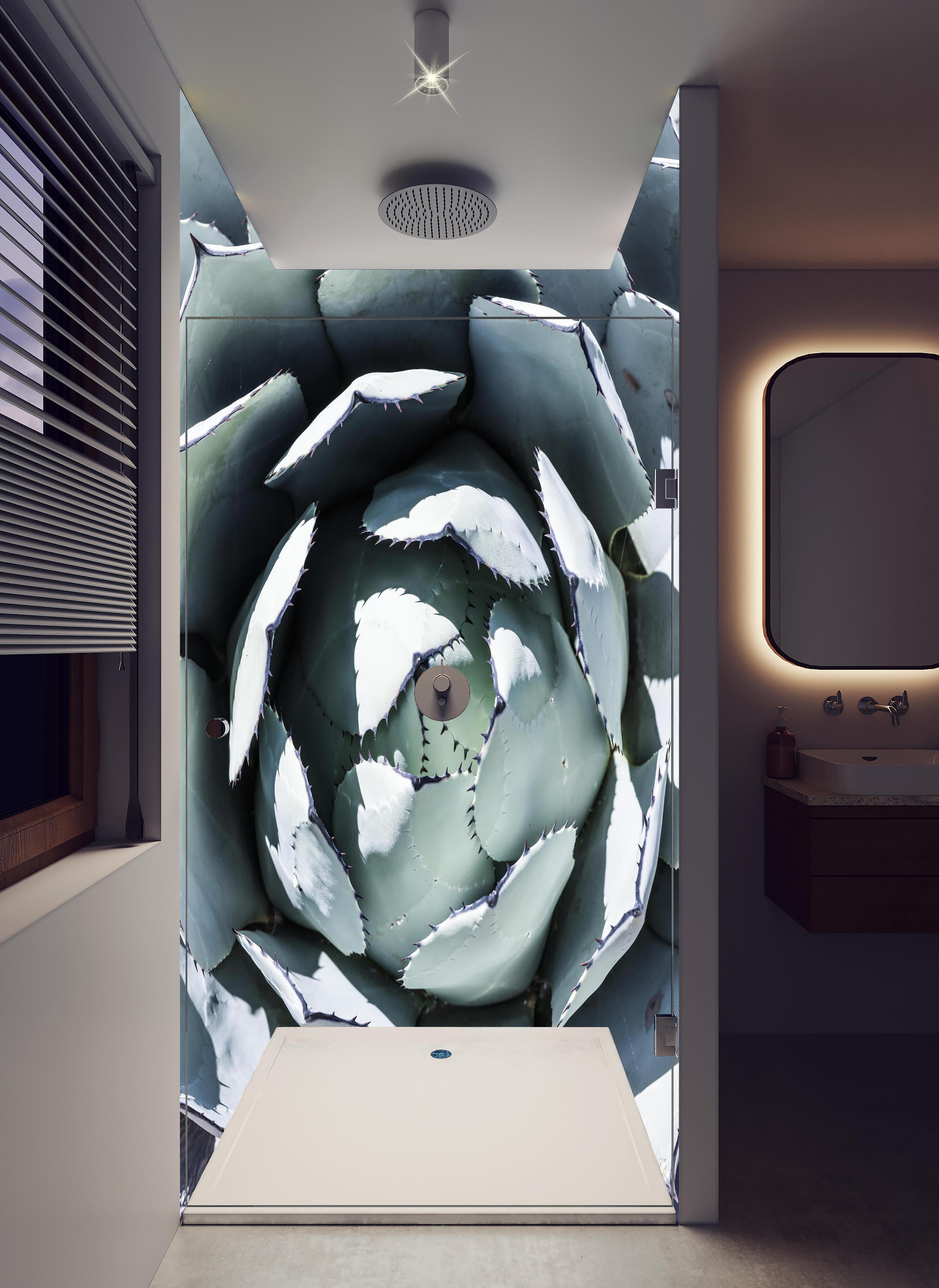 Duschrückwand - Detailreiche Blau-Weiße Agavenblätter Makroaufnahme in hellem Badezimmer mit Regenduschkopf - zweiteilige Eck-Duschrückwand