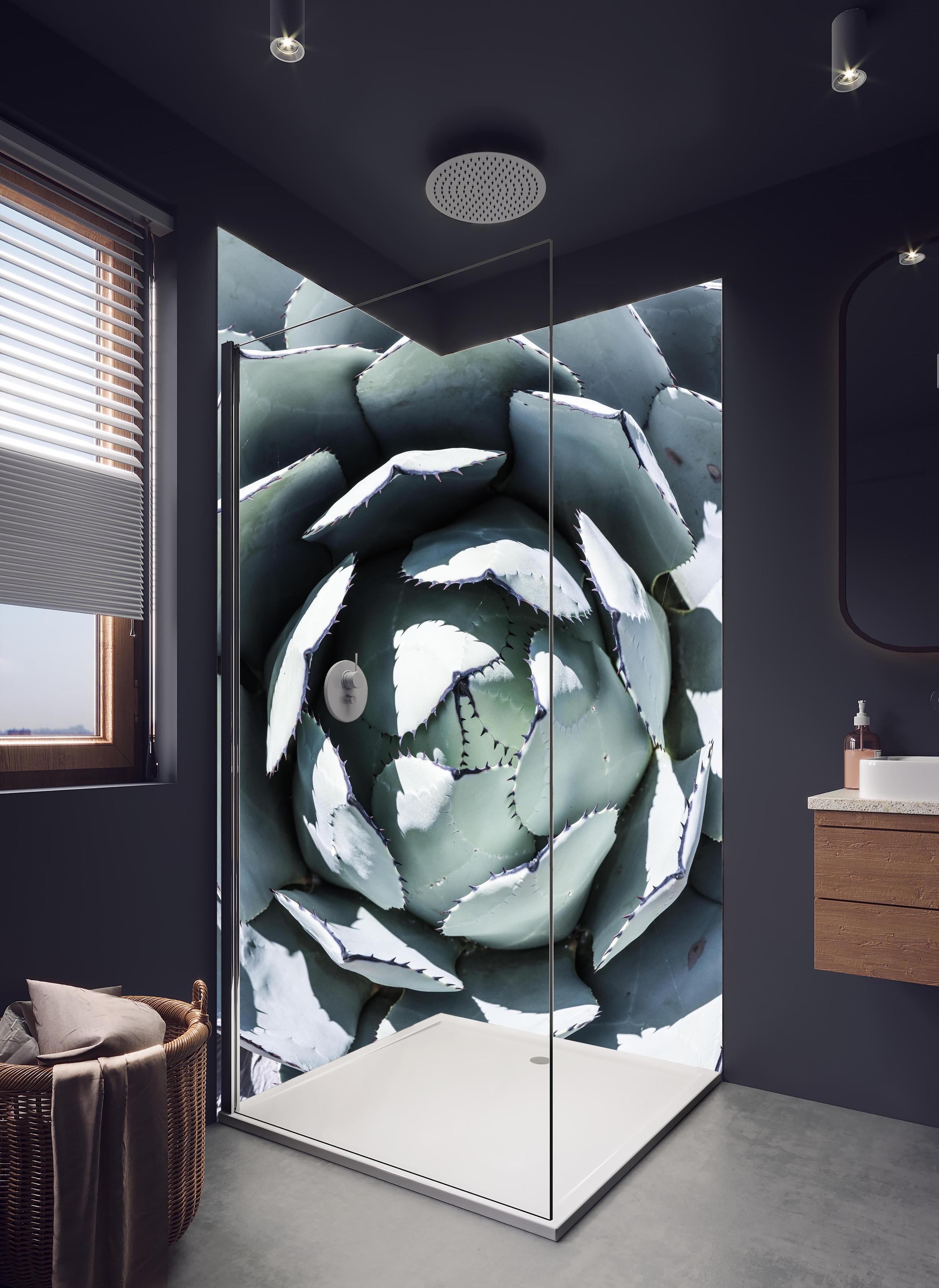 Duschrückwand - Detailreiche Blau-Weiße Agavenblätter Makroaufnahme in hellem Badezimmer mit Regenduschkopf - zweiteilige Eck-Duschrückwand