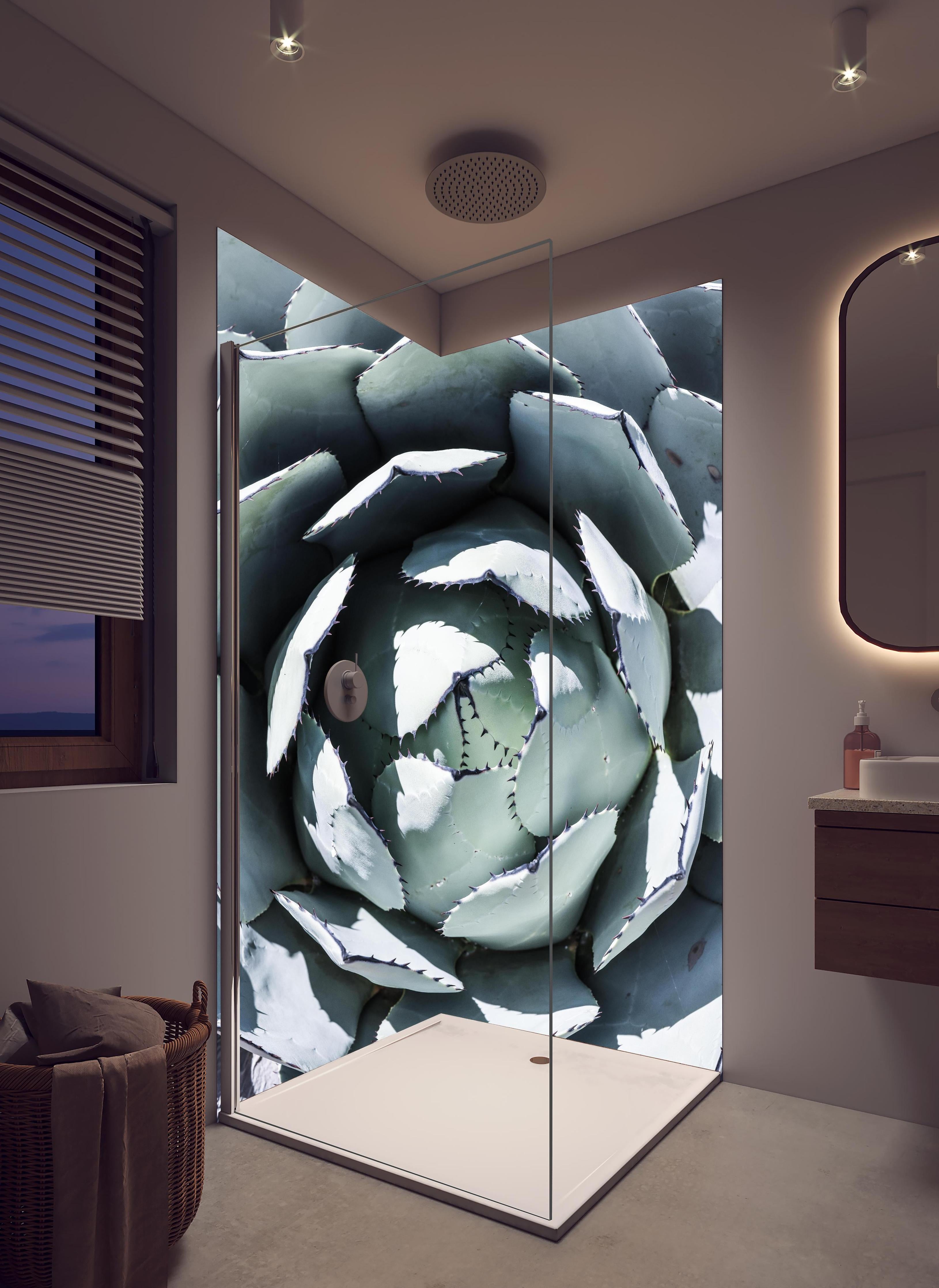 Duschrückwand - Detailreiche Blau-Weiße Agavenblätter Makroaufnahme in hellem Badezimmer mit Regenduschkopf - zweiteilige Eck-Duschrückwand