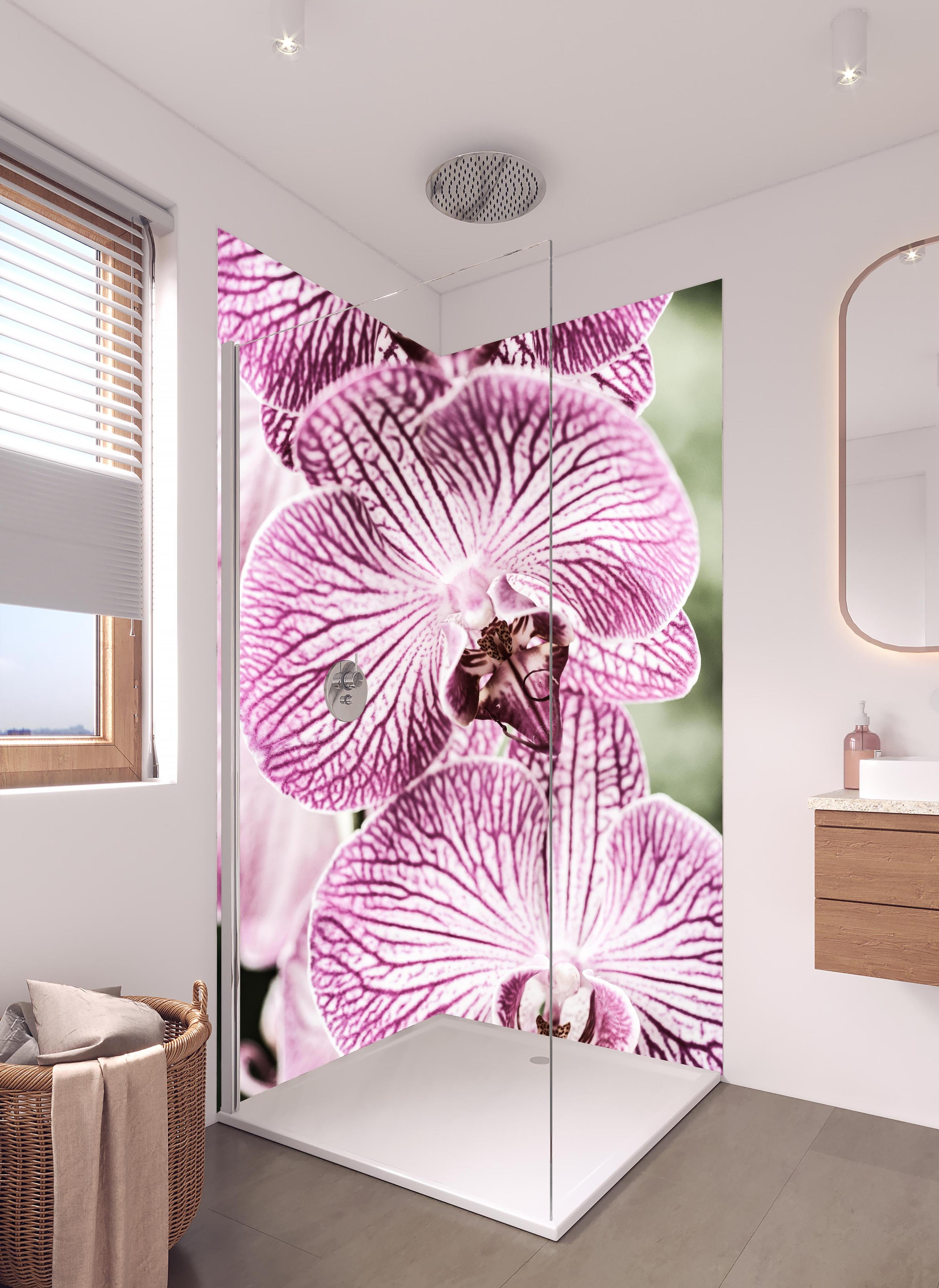 Duschrückwand - Detailreiche Orchideen Makroaufnahme in Pink-Lila in hellem Badezimmer mit Regenduschkopf - zweiteilige Eck-Duschrückwand