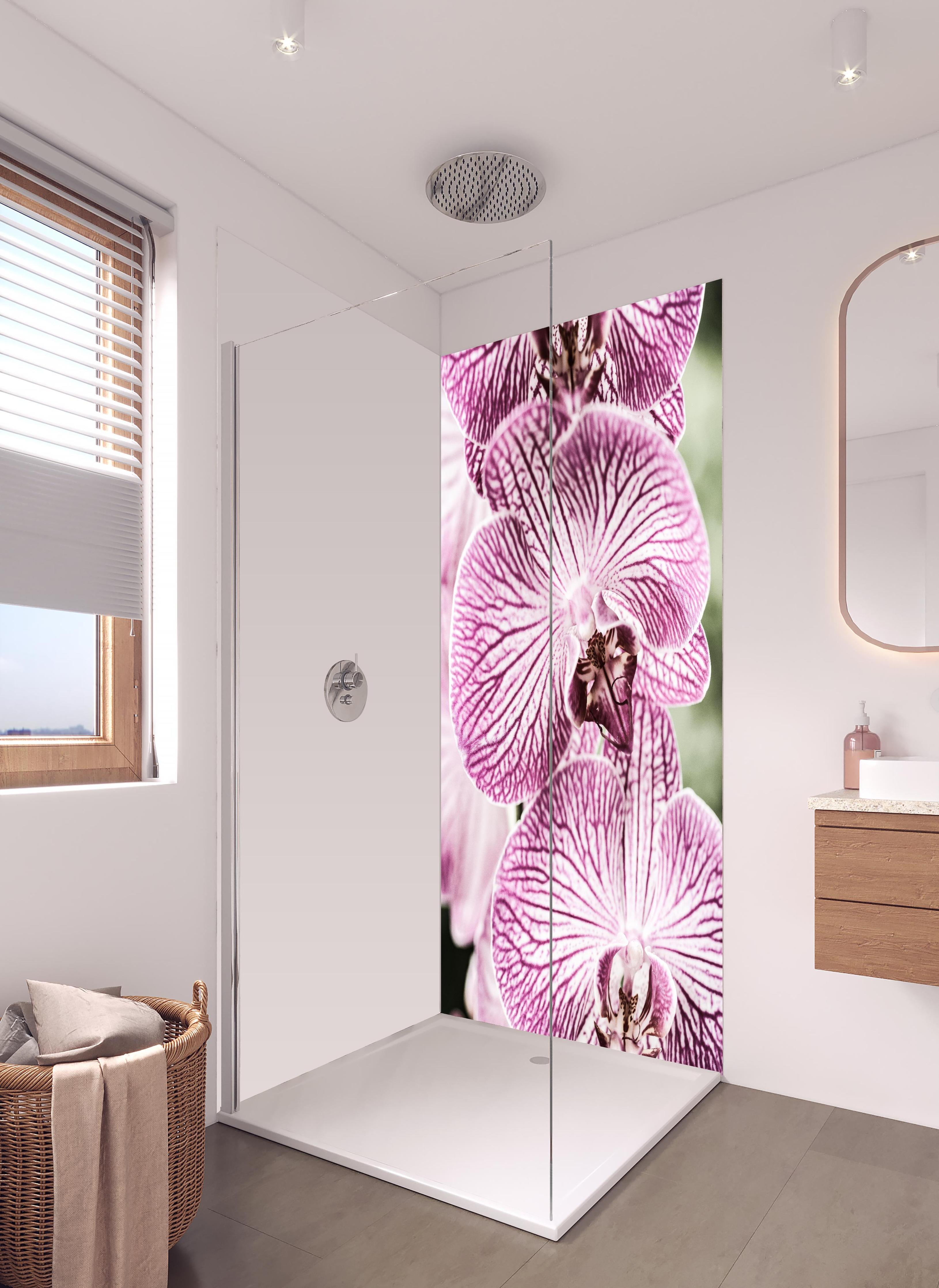Duschrückwand - Detailreiche Orchideen Makroaufnahme in Pink-Lila in hellem Badezimmer mit Regenduschkopf - zweiteilige Eck-Duschrückwand