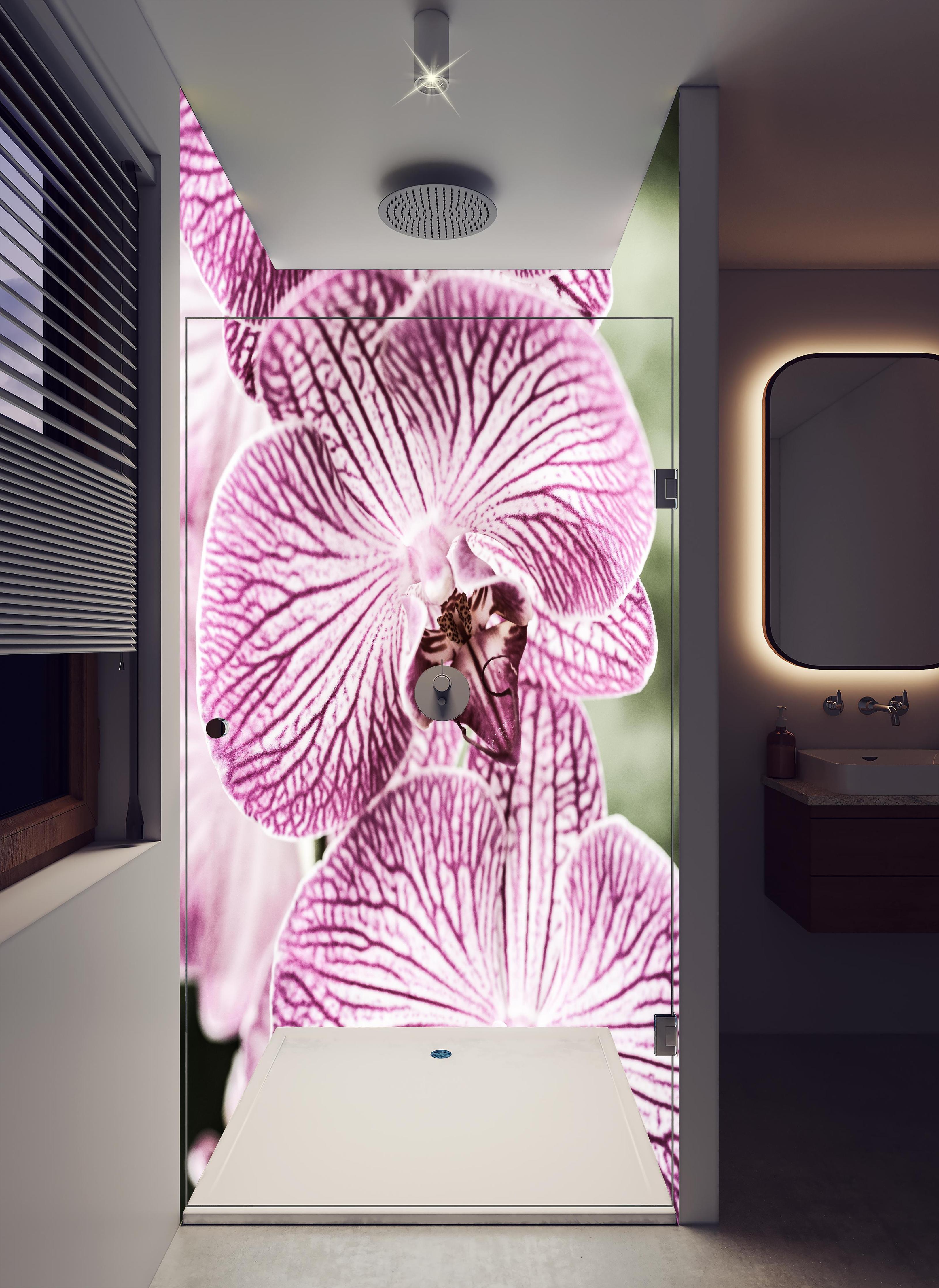 Duschrückwand - Detailreiche Orchideen Makroaufnahme in Pink-Lila in hellem Badezimmer mit Regenduschkopf - zweiteilige Eck-Duschrückwand