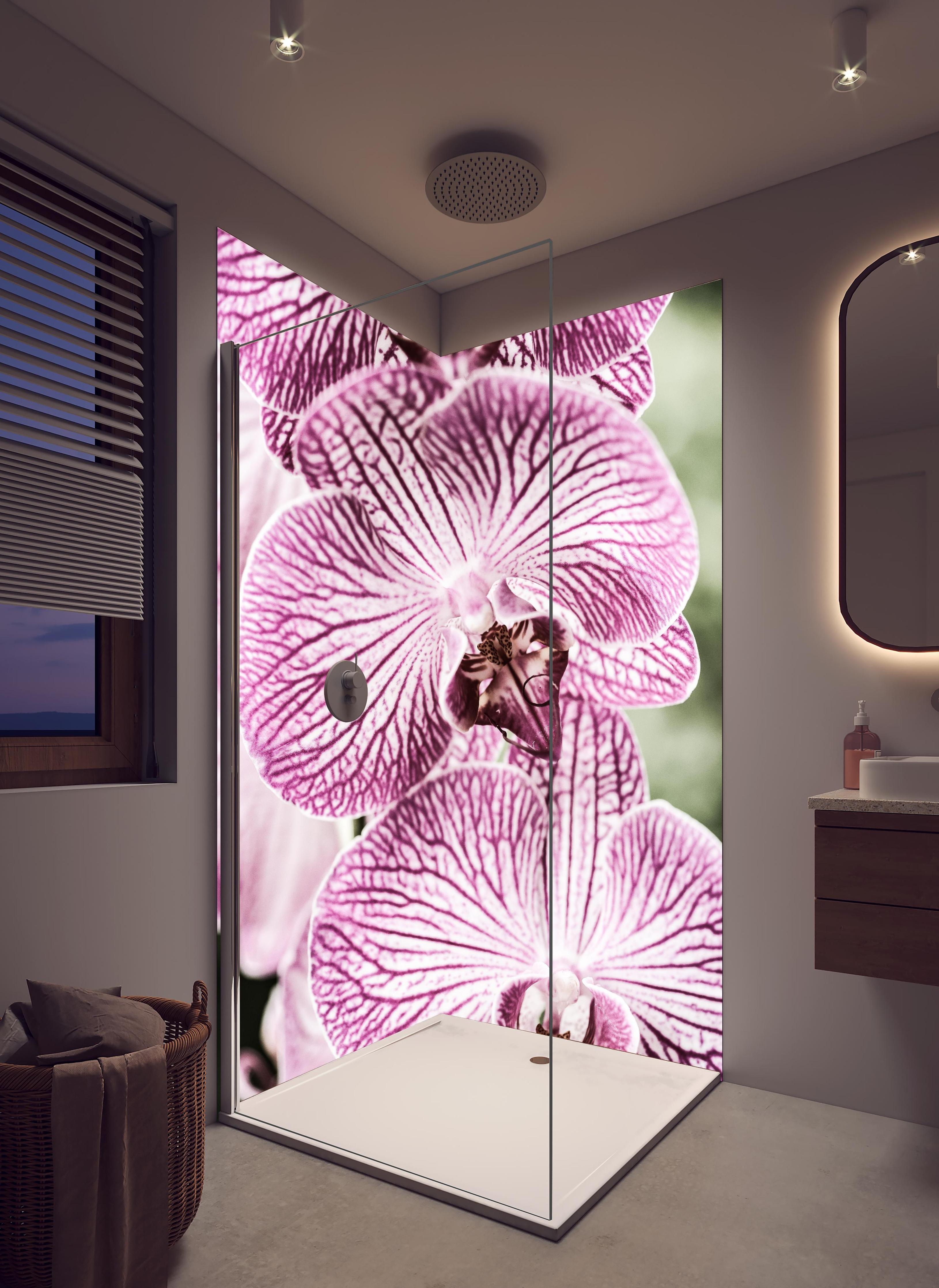 Duschrückwand - Detailreiche Orchideen Makroaufnahme in Pink-Lila in hellem Badezimmer mit Regenduschkopf - zweiteilige Eck-Duschrückwand