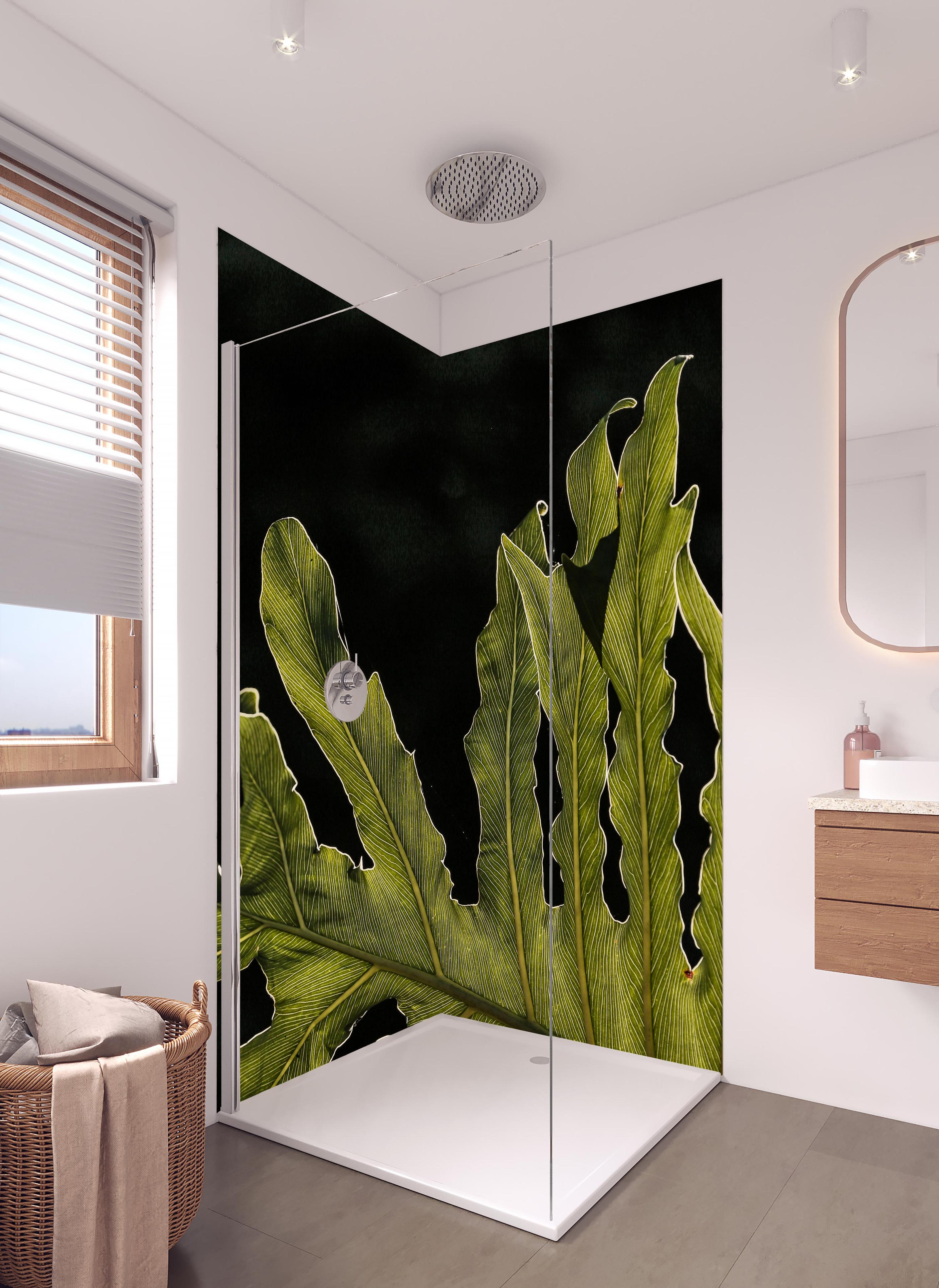Duschrückwand - Dunkelgrün Beleuchtetes Blatt, Schwarzer Hintergrund in hellem Badezimmer mit Regenduschkopf - zweiteilige Eck-Duschrückwand