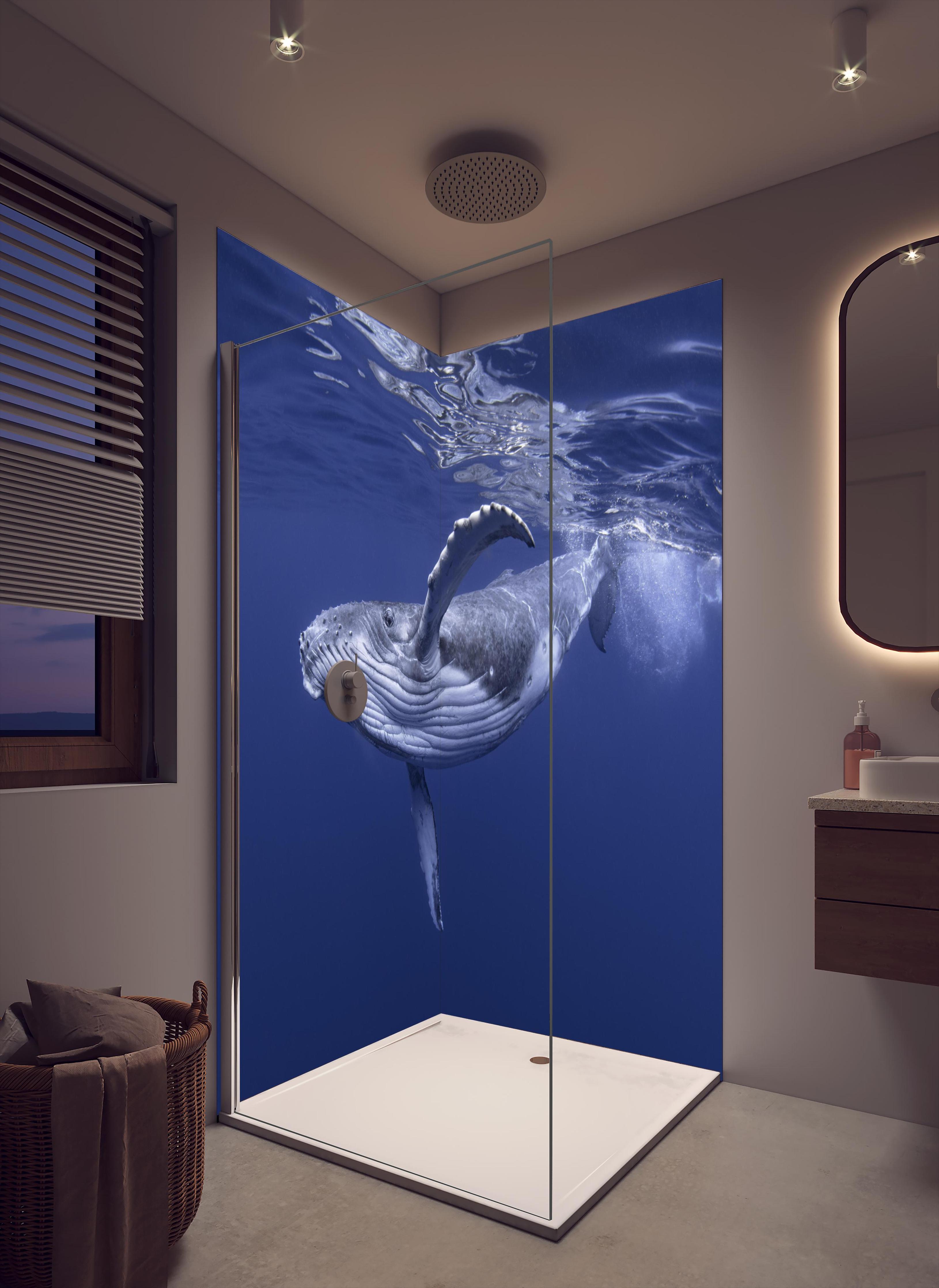 Duschrückwand - Baby-Buckelwal-Kalb im blauen Wasser in cremefarbenem Badezimmer mit Regenduschkopf