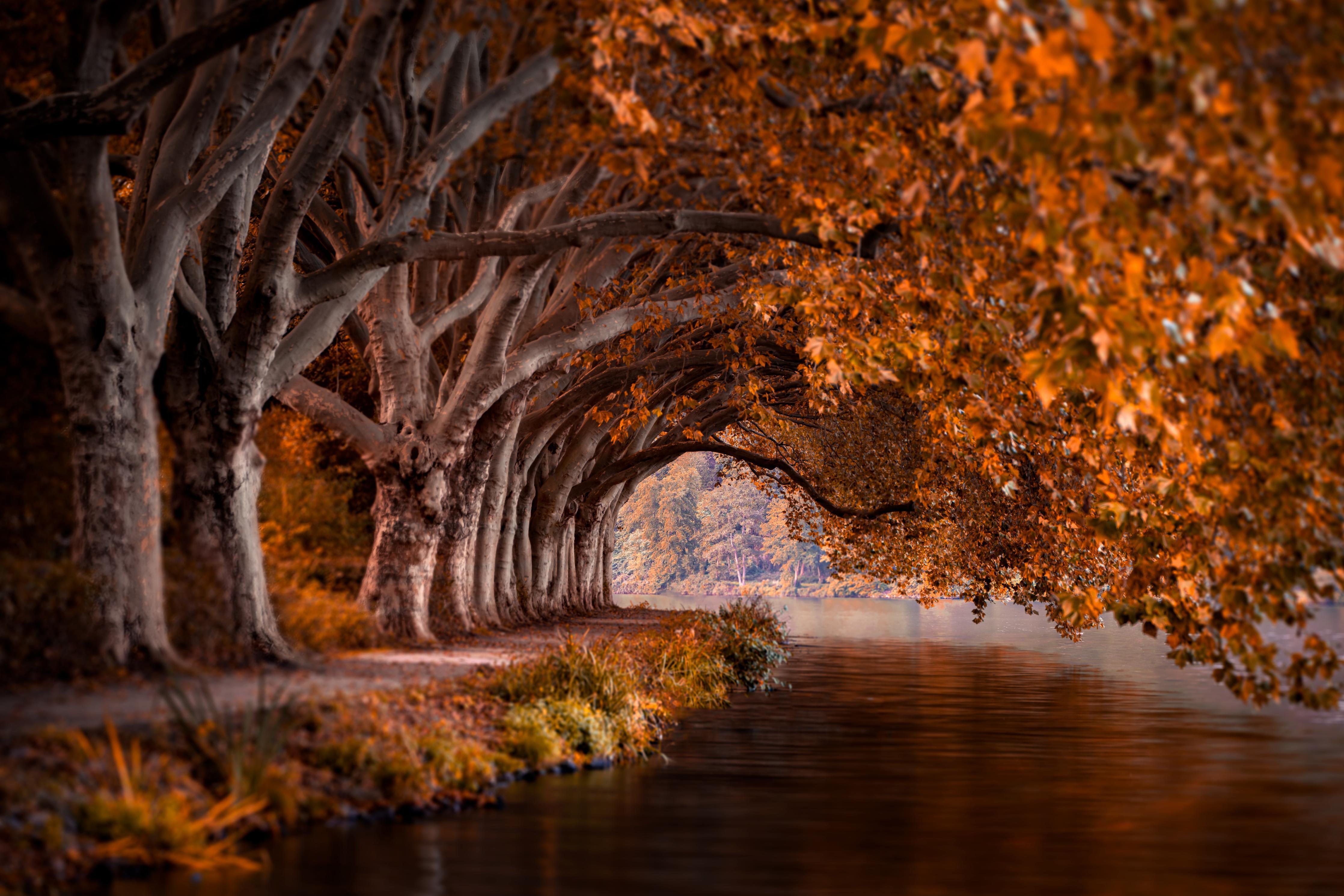 Duschrückwand-Baldeneysee in Essen im Herbst