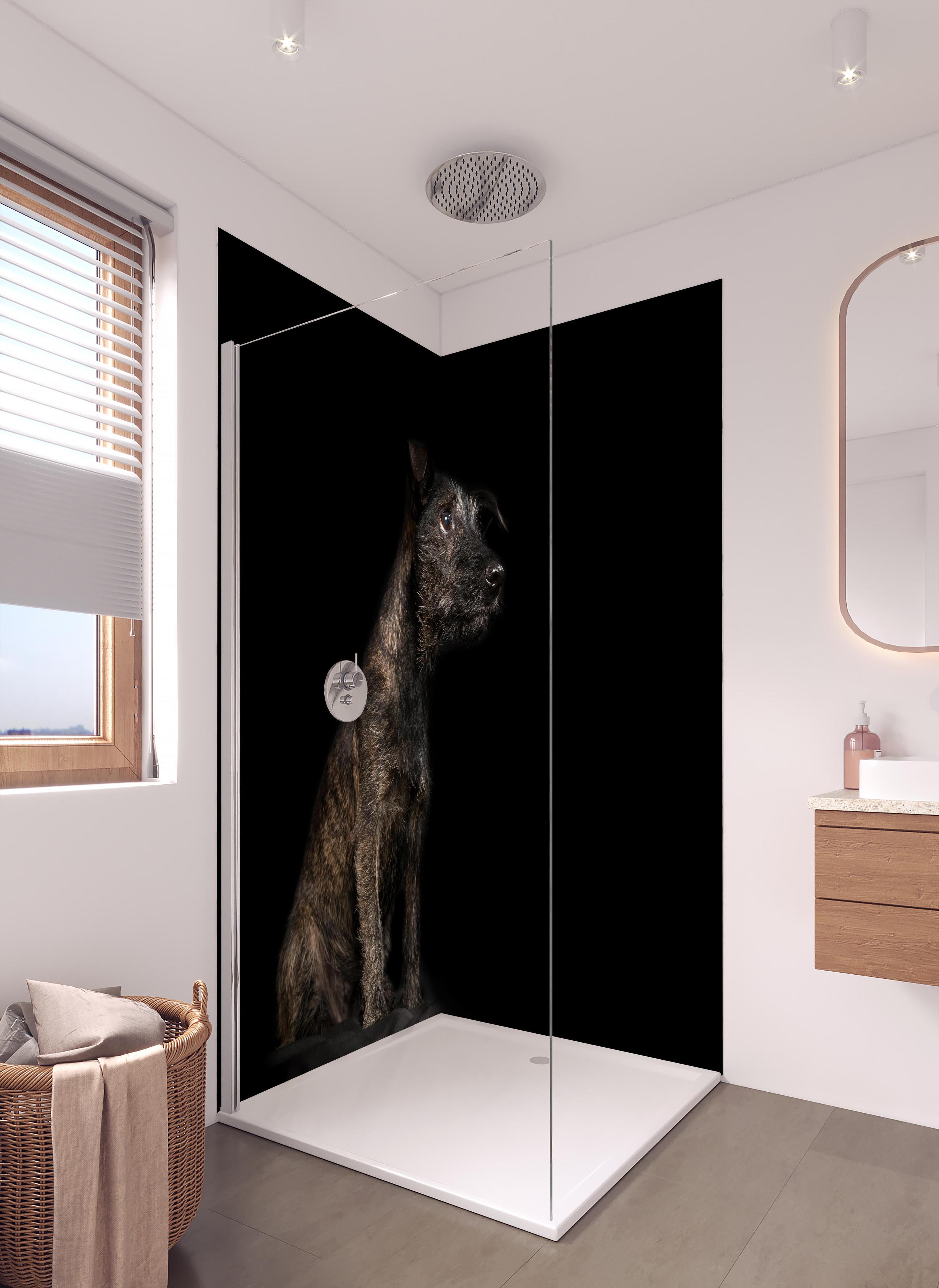 Duschrückwand - Dunkler Cairn Terrier Hund in hellem Badezimmer mit Regenduschkopf - zweiteilige Eck-Duschrückwand