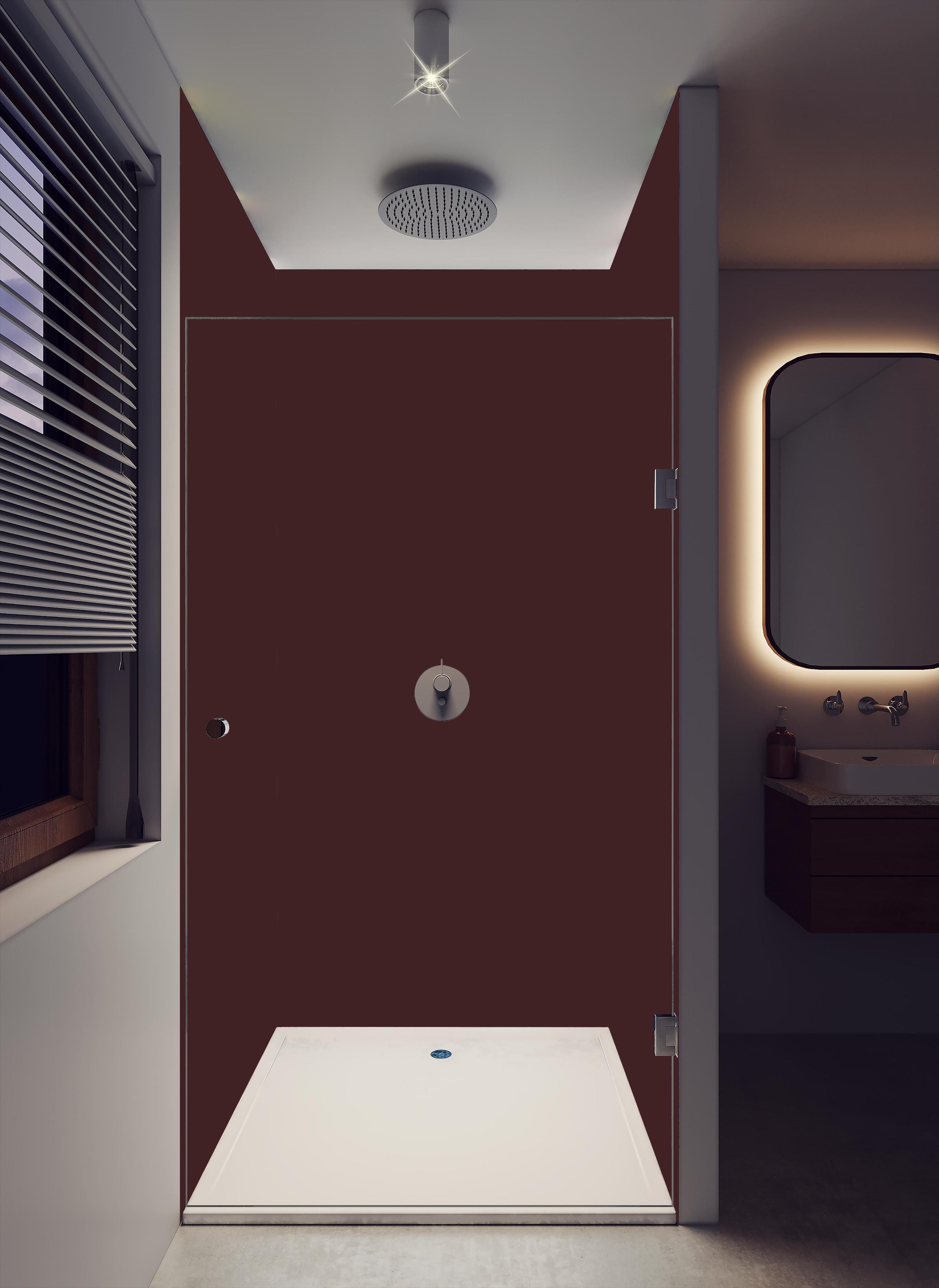 Duschrückwand - RAL 3007 (Schwarzrot) in dunklem Badezimmer mit Regenduschkopf