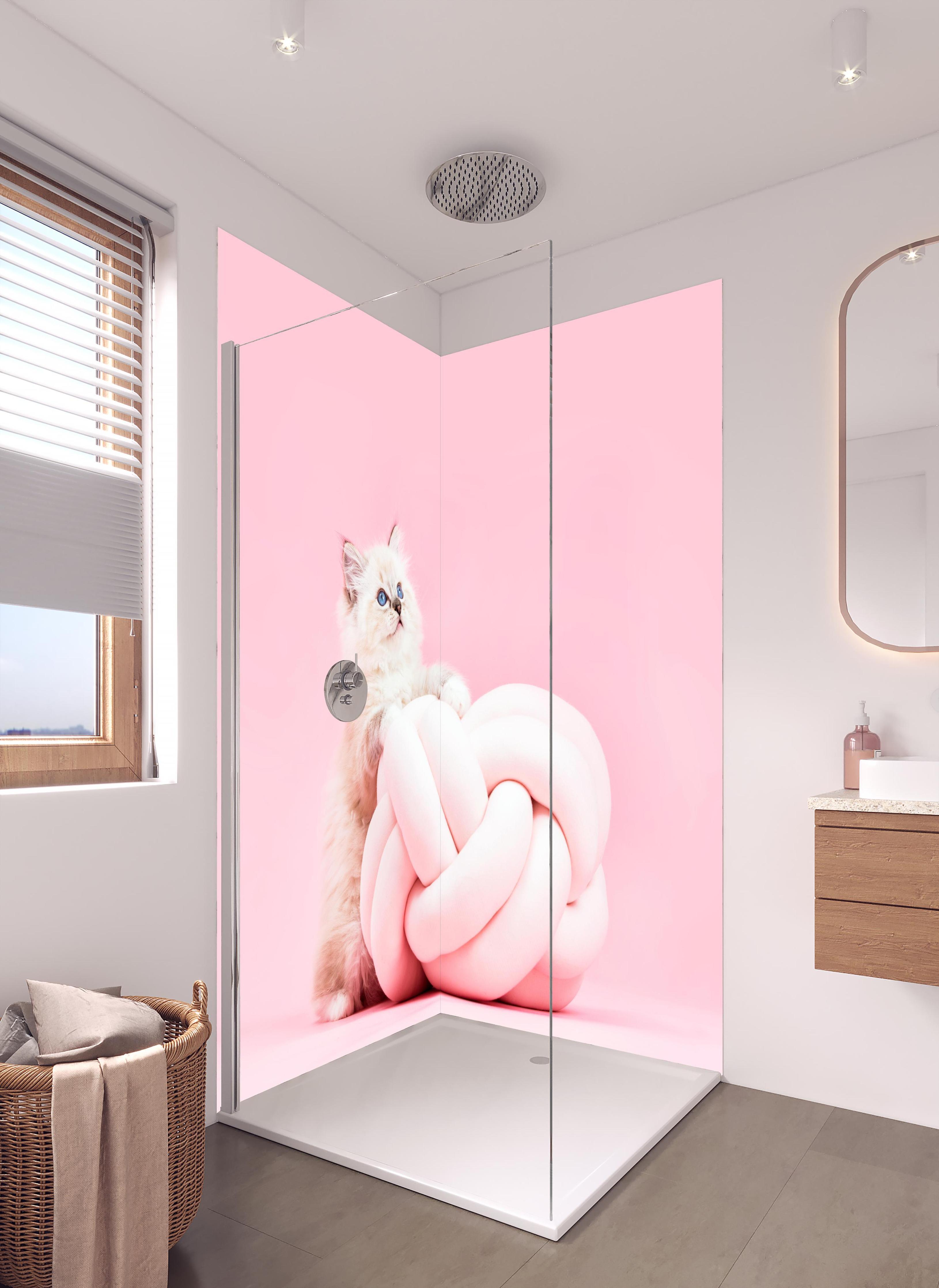 Duschrückwand - Ragdoll Katze auf Pinken Hintergrund in hellem Badezimmer mit Regenduschkopf - zweiteilige Eck-Duschrückwand
