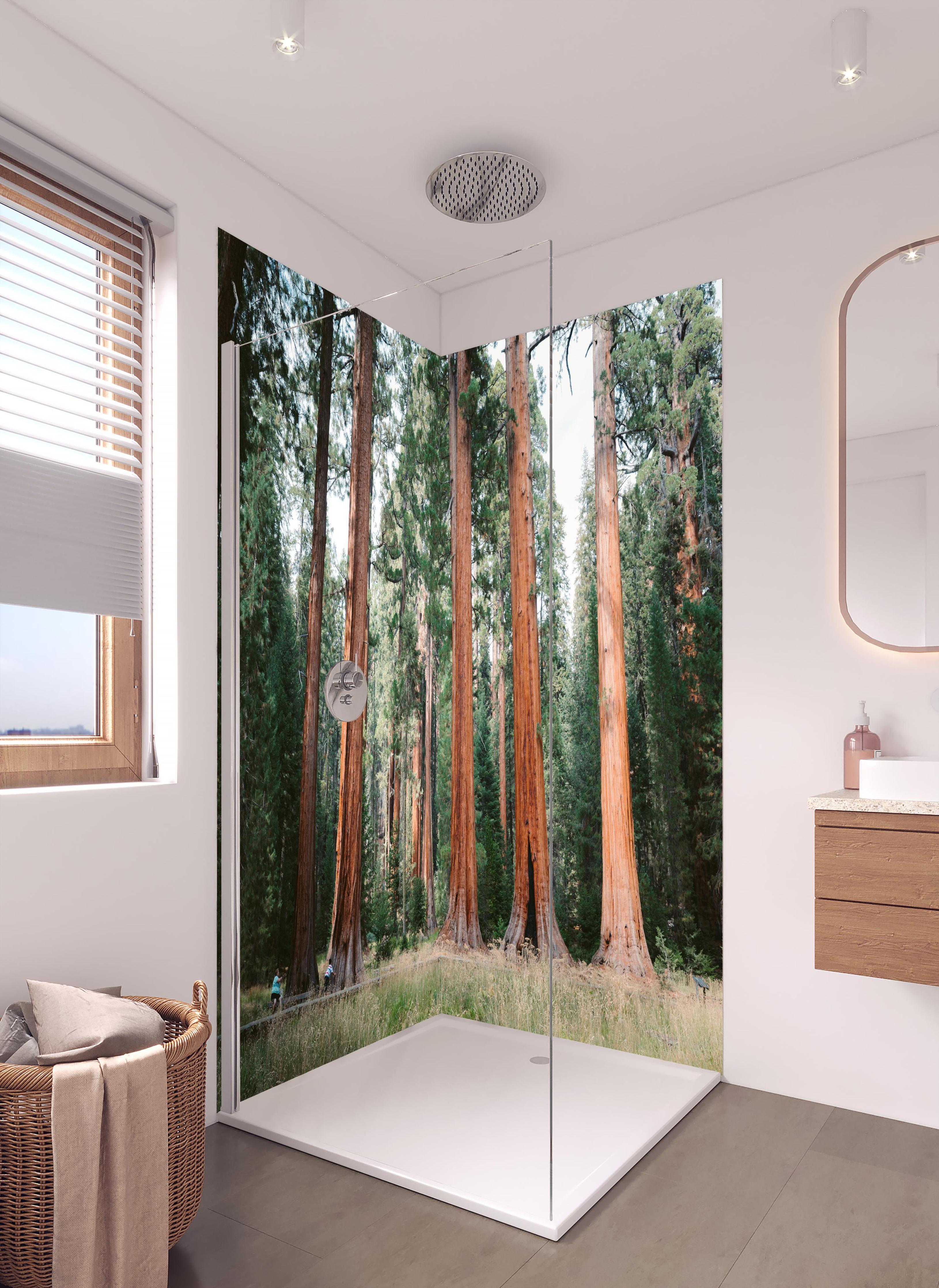 Duschrückwand - Riesenmammutbäume im Sequoia-Nationalpark in hellem Badezimmer mit Regenduschkopf - zweiteilige Eck-Duschrückwand