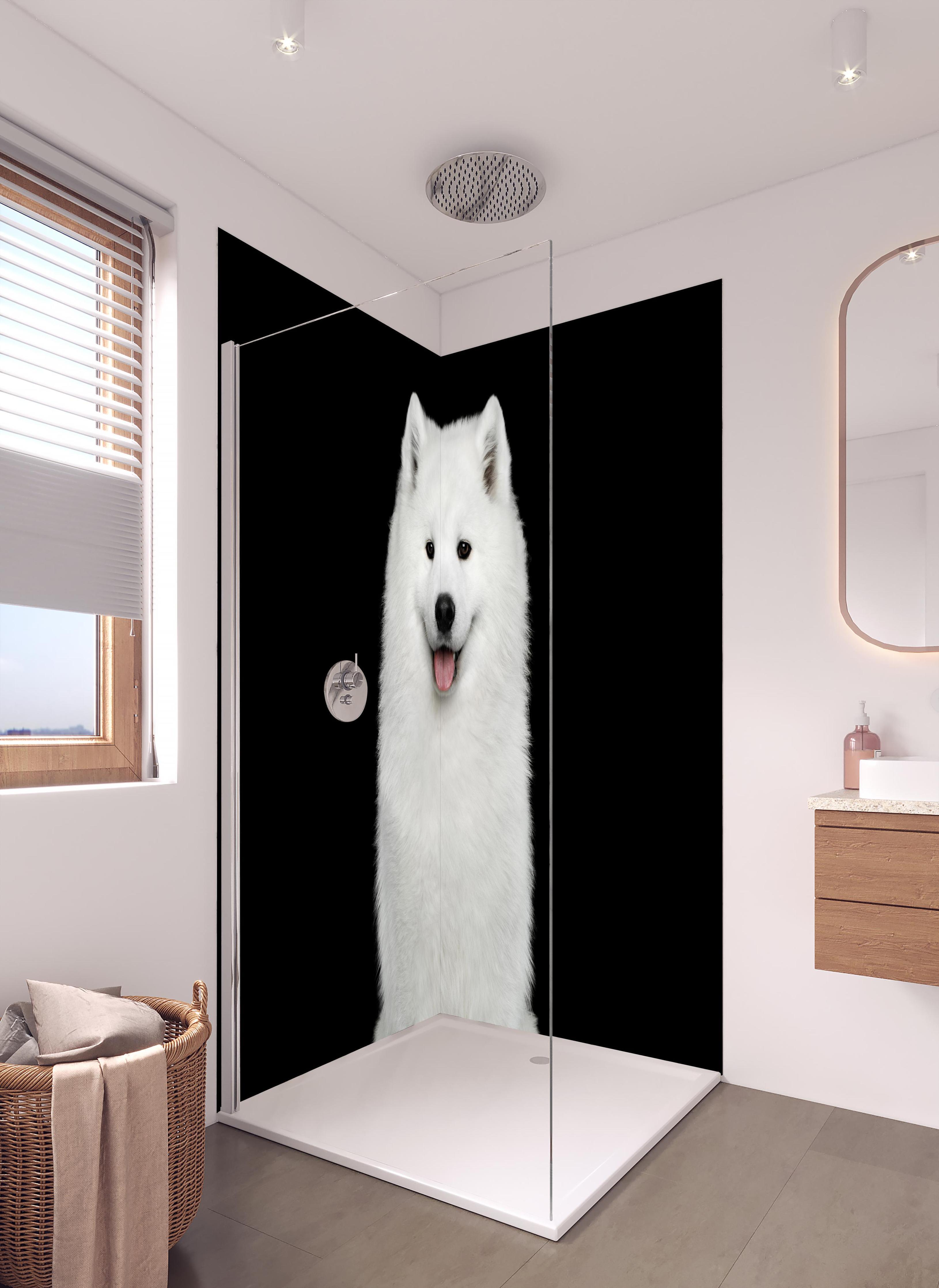 Duschrückwand - Samojeden Hund in hellem Badezimmer mit Regenduschkopf - zweiteilige Eck-Duschrückwand