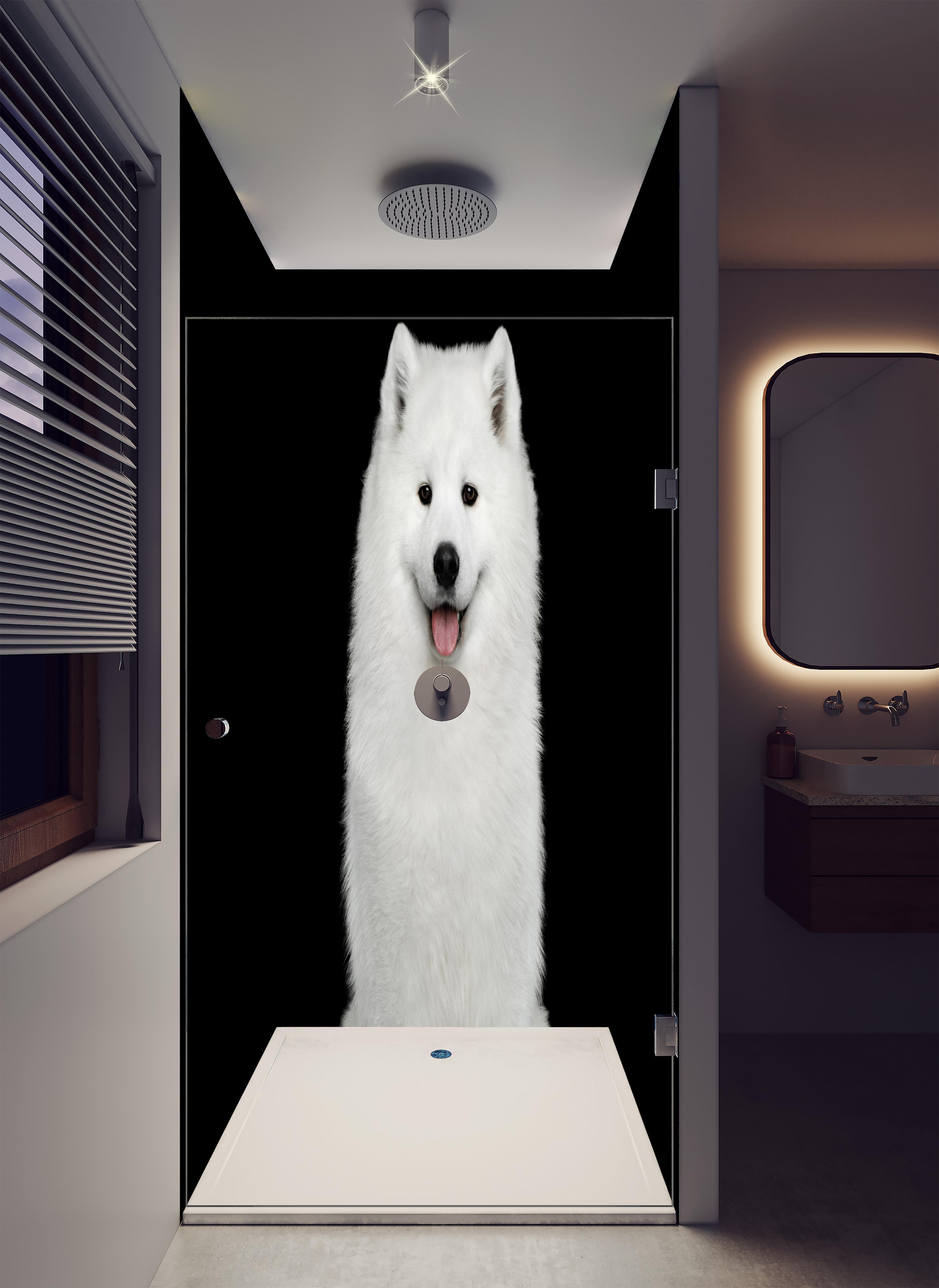 Duschrückwand - Samojeden Hund in luxuriöser Dusche mit Regenduschkopf