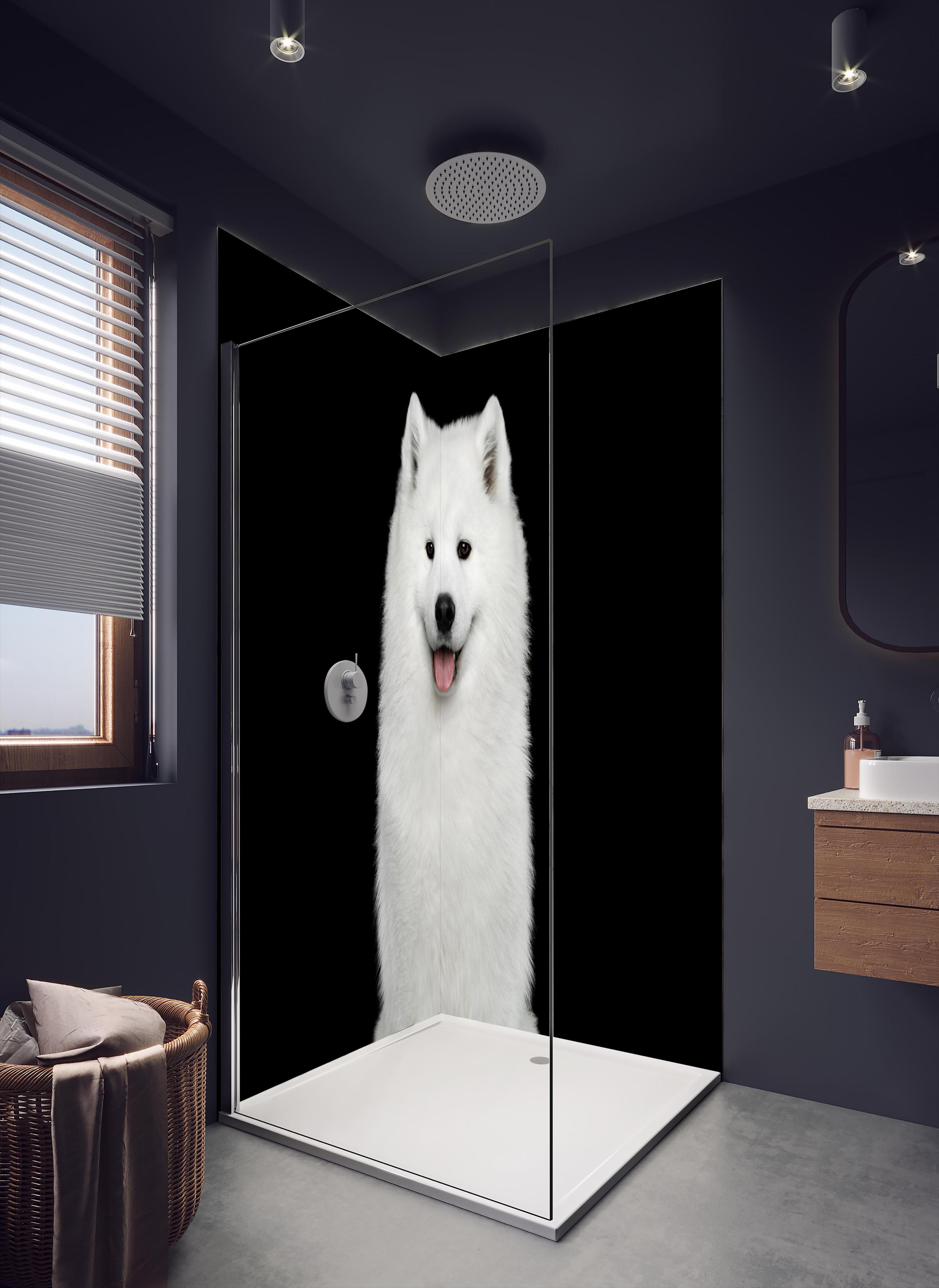 Duschrückwand - Samojeden Hund in dunklem Badezimmer mit Regenduschkopf