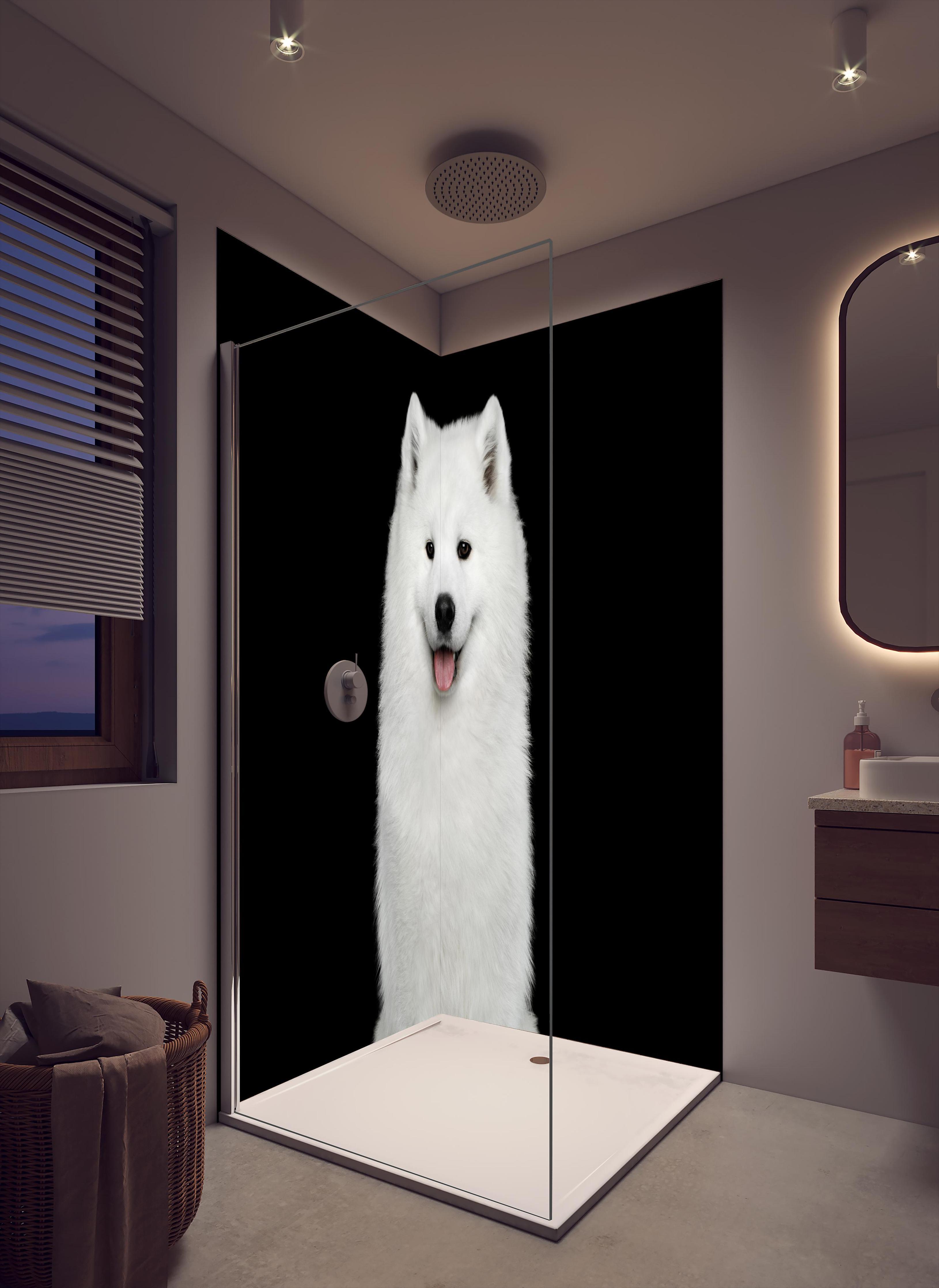 Duschrückwand - Samojeden Hund in cremefarbenem Badezimmer mit Regenduschkopf