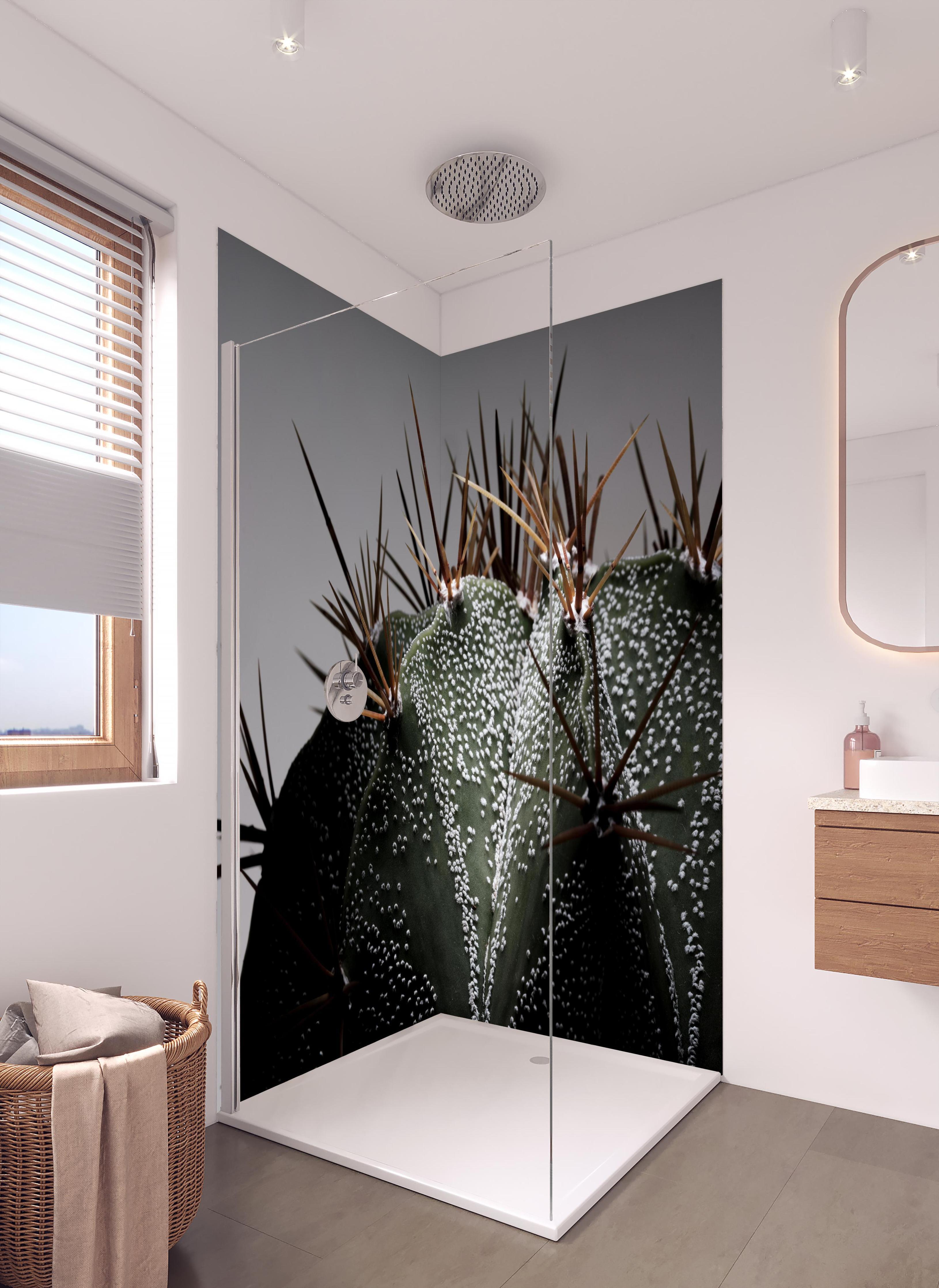 Duschrückwand - Stacheliger Sternenkaktus in hellem Badezimmer mit Regenduschkopf - zweiteilige Eck-Duschrückwand