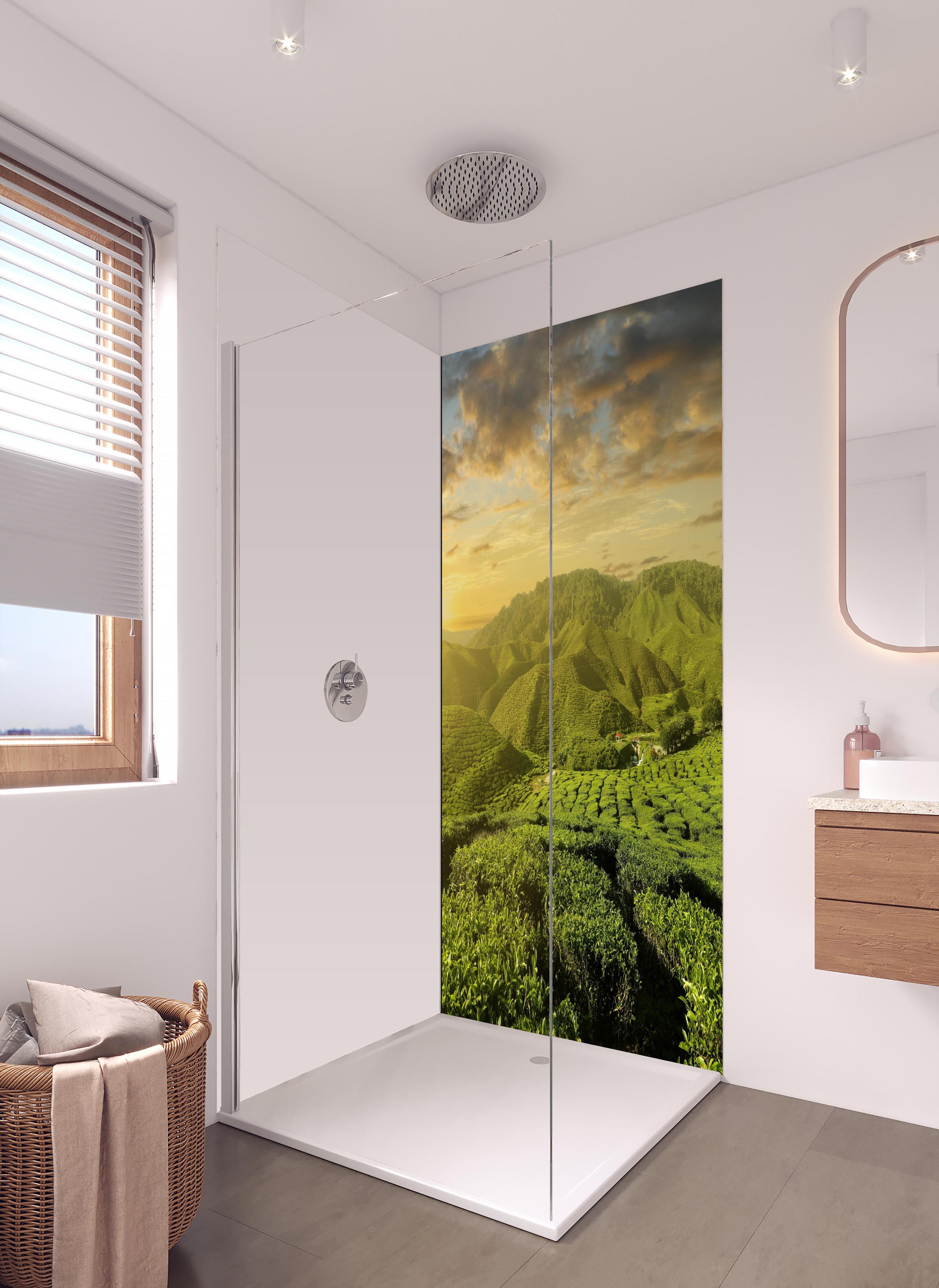 Duschrückwand - Teeplantage in Malaysia in hellem Badezimmer mit Regenduschkopf - einteilige Duschrückwand