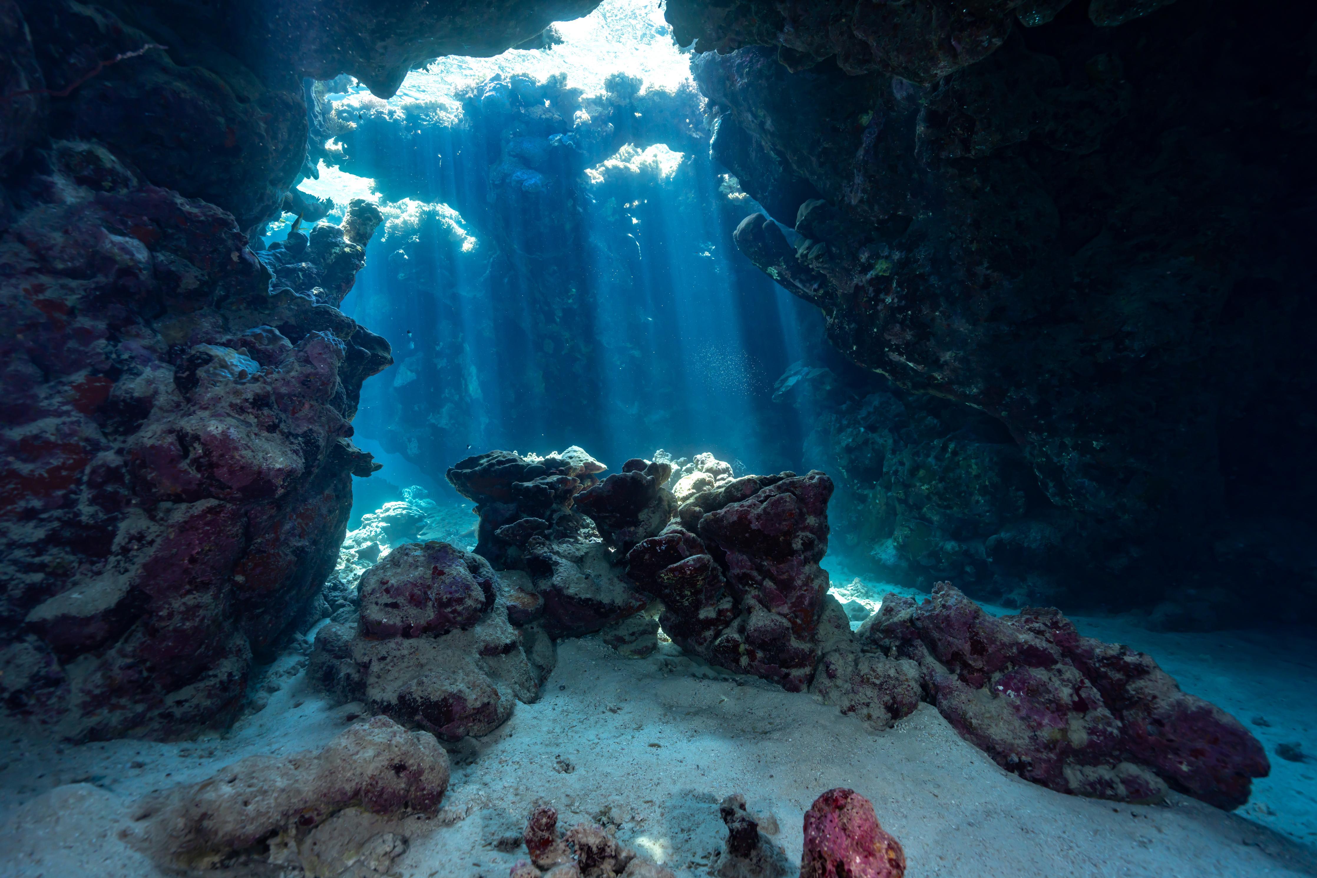 Duschrückwand-Unterwasseransicht eines Riffs