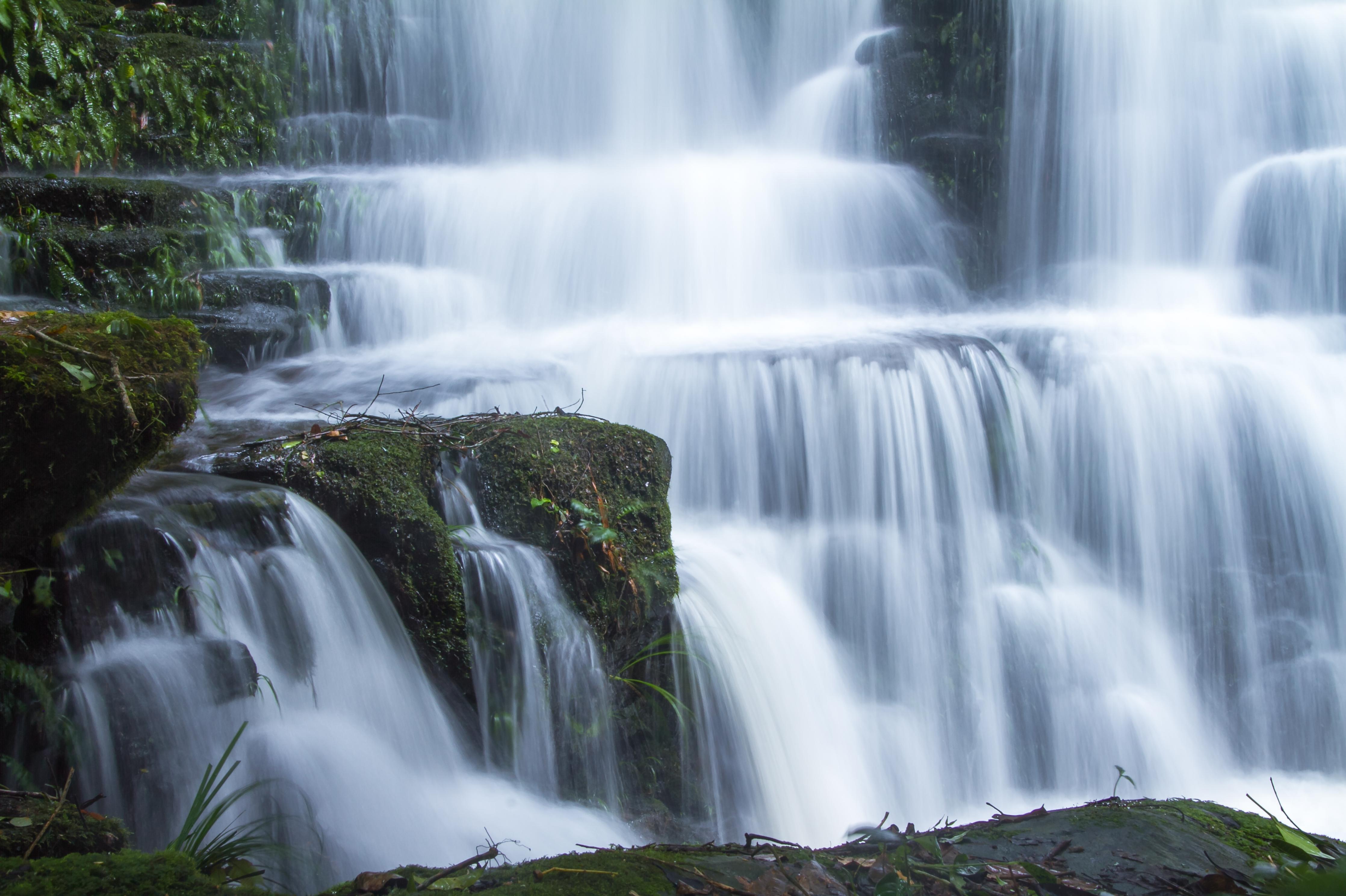 Duschrückwand-Wasserfall im Wald mit Felsen