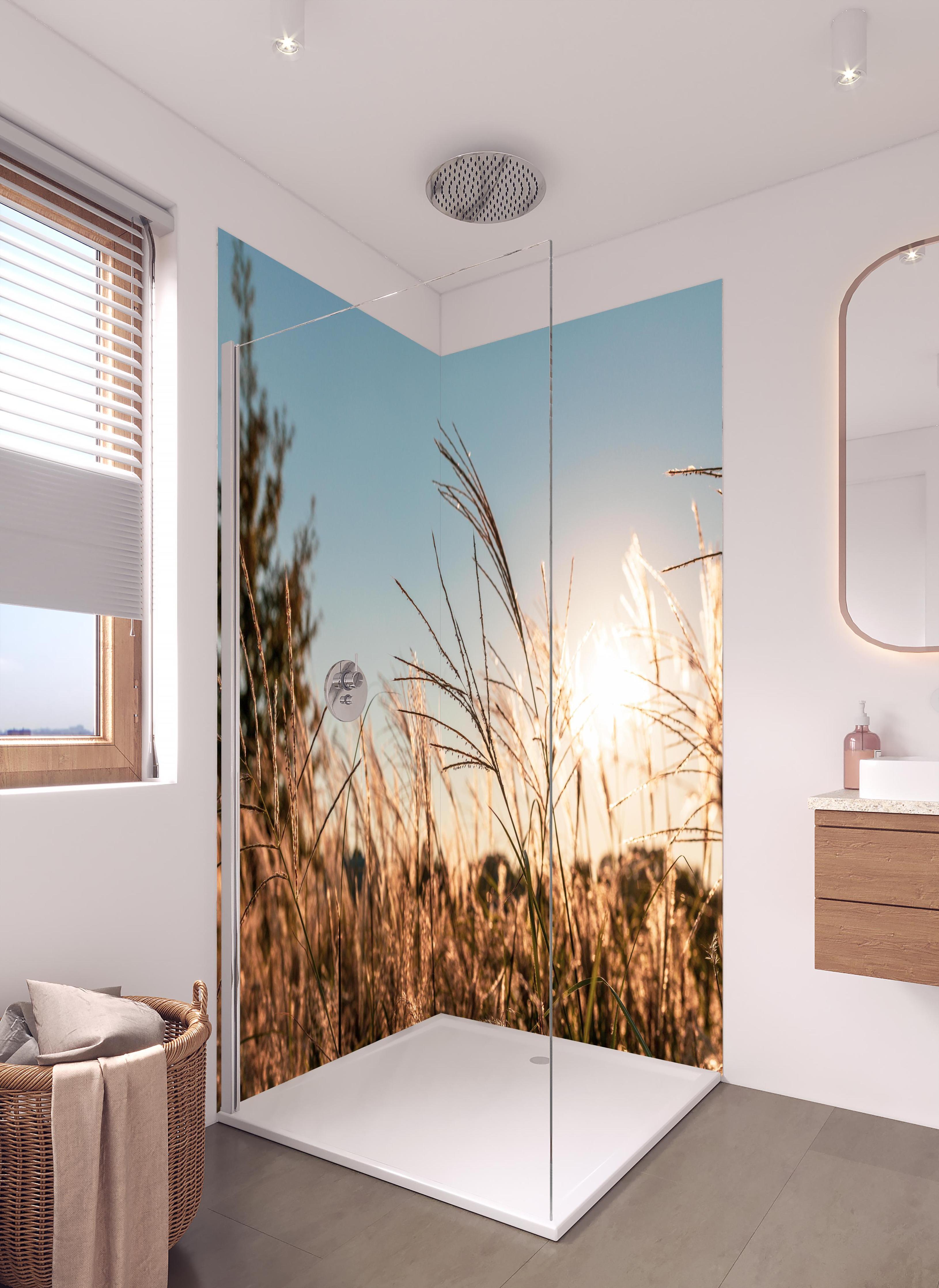 Duschrückwand - Weizenfeld in der Sonne in hellem Badezimmer mit Regenduschkopf - zweiteilige Eck-Duschrückwand