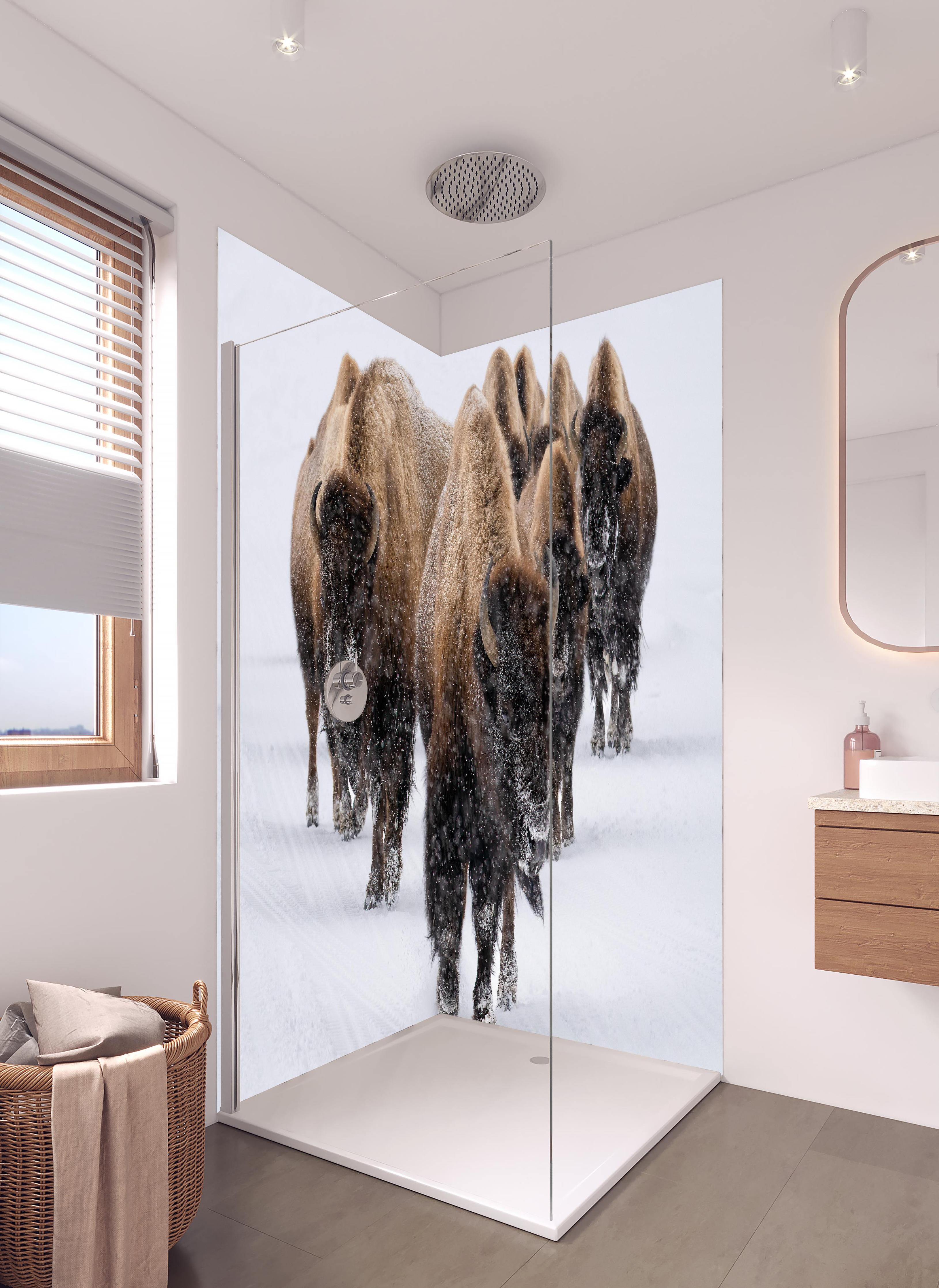 Duschrückwand - Eine Bison Herde in hellem Badezimmer mit Regenduschkopf - zweiteilige Eck-Duschrückwand