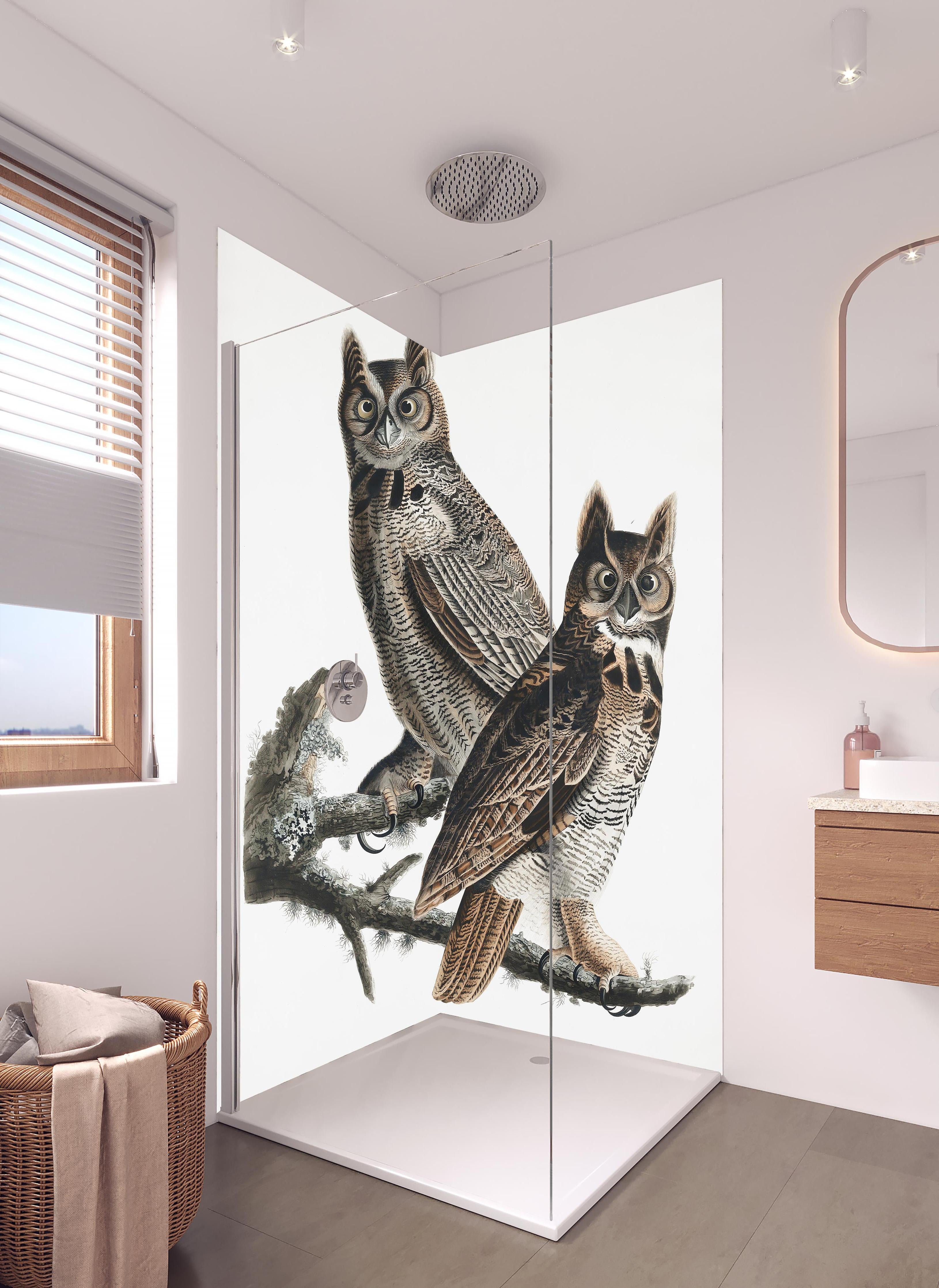 Duschrückwand - Eulen Portrait - Robert Havell in hellem Badezimmer mit Regenduschkopf - zweiteilige Eck-Duschrückwand
