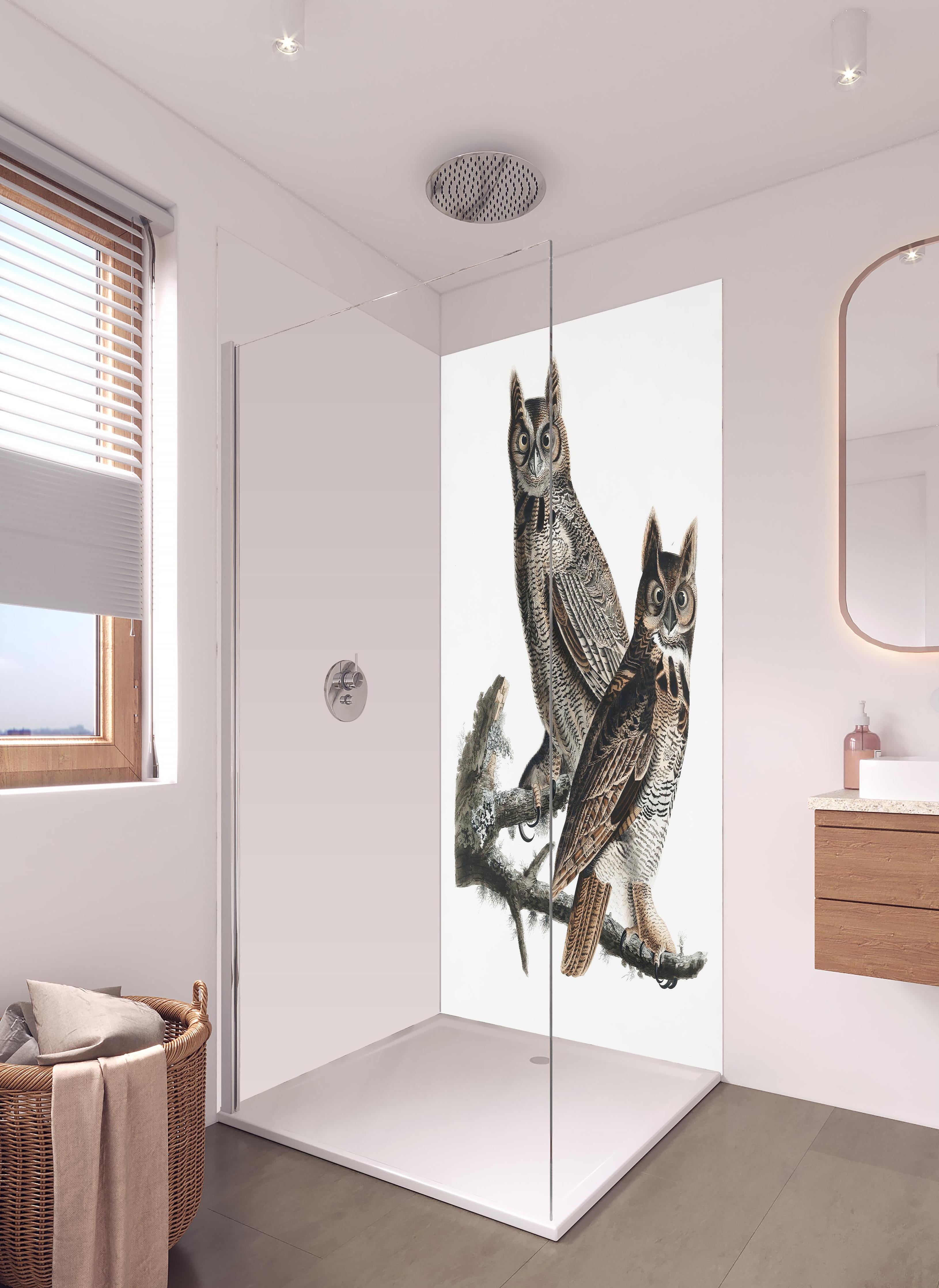 Duschrückwand - Eulen Portrait - Robert Havell in hellem Badezimmer mit Regenduschkopf - zweiteilige Eck-Duschrückwand