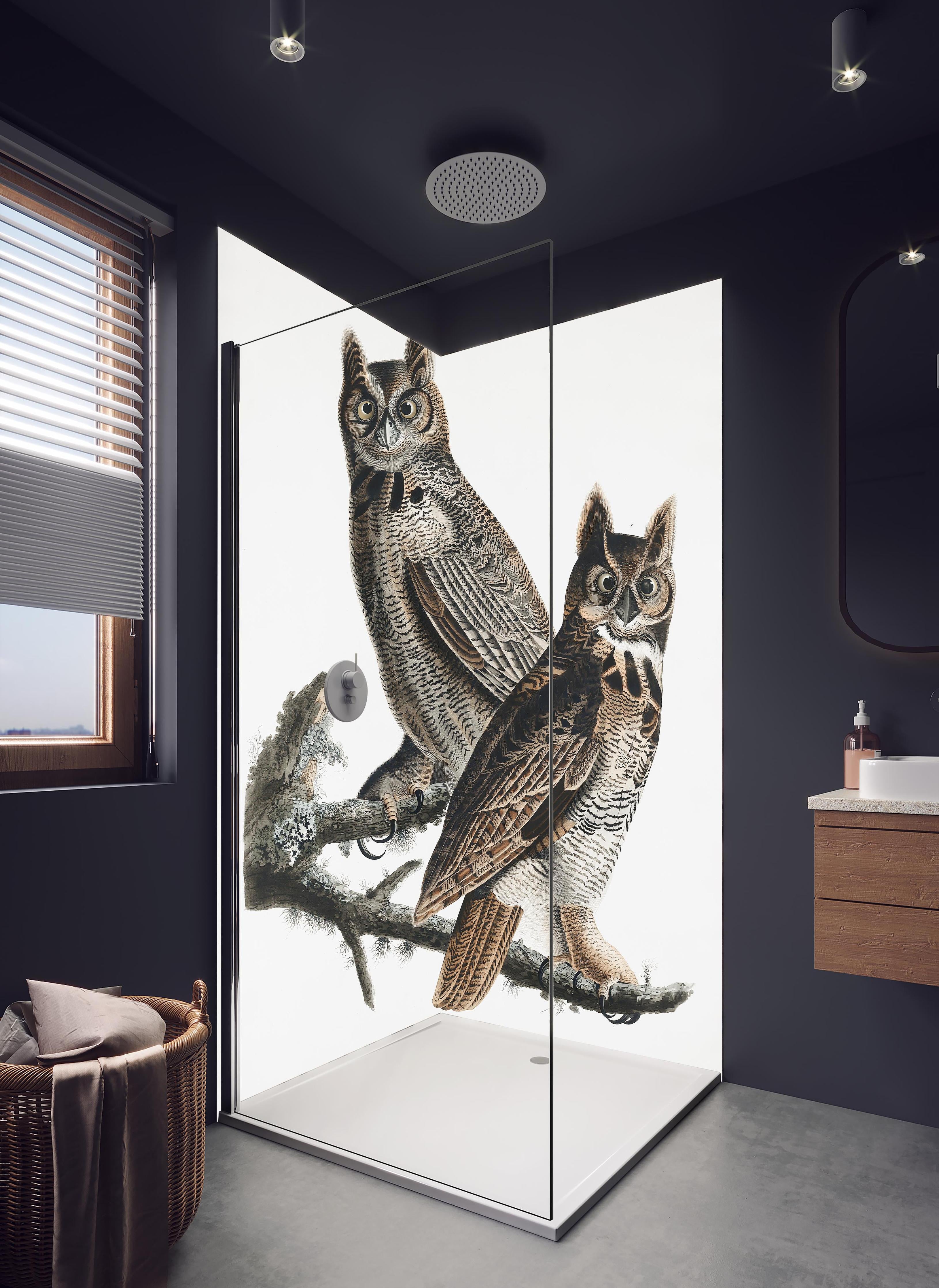 Duschrückwand - Eulen Portrait - Robert Havell in hellem Badezimmer mit Regenduschkopf - zweiteilige Eck-Duschrückwand