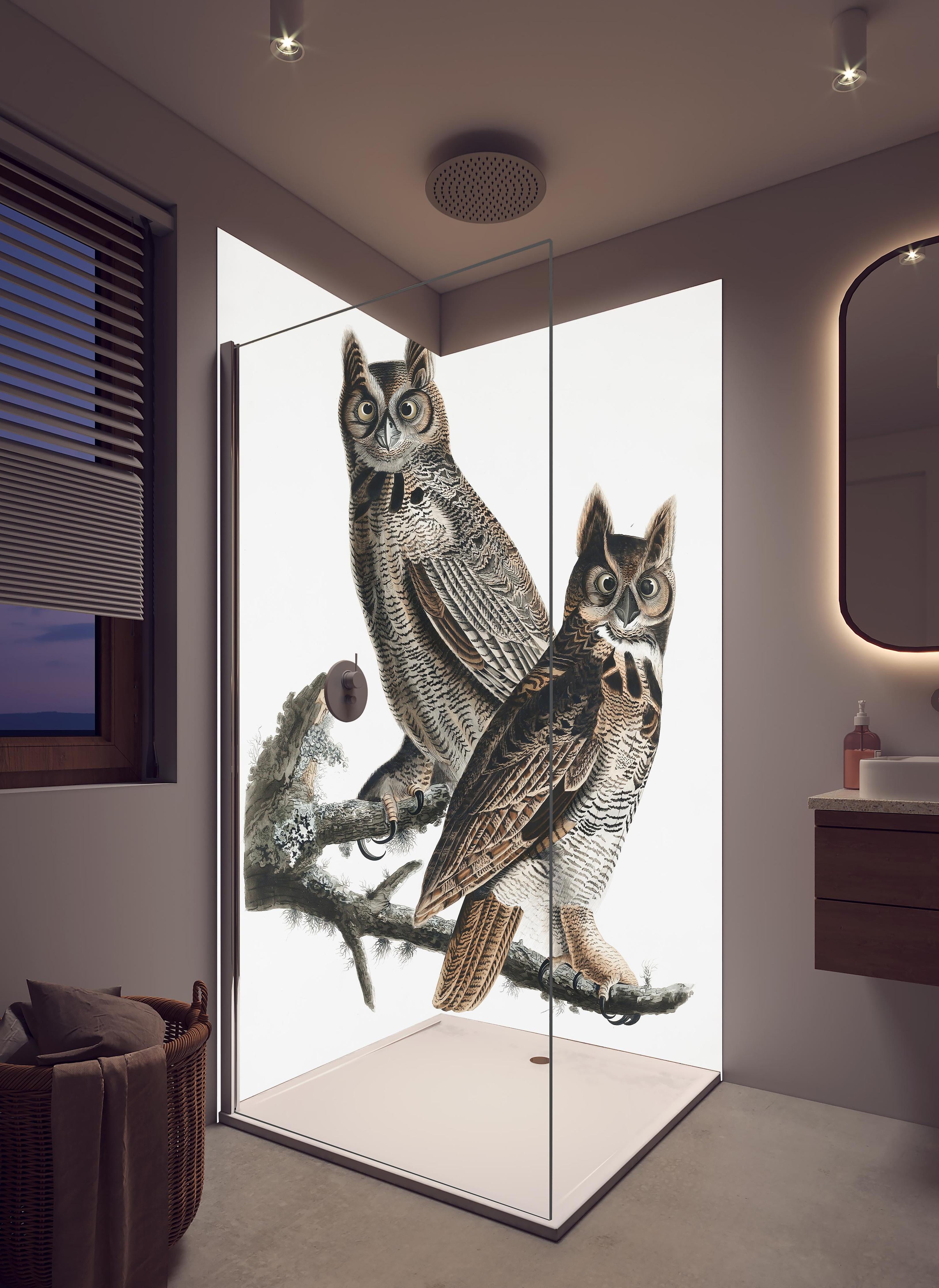 Duschrückwand - Eulen Portrait - Robert Havell in hellem Badezimmer mit Regenduschkopf - zweiteilige Eck-Duschrückwand