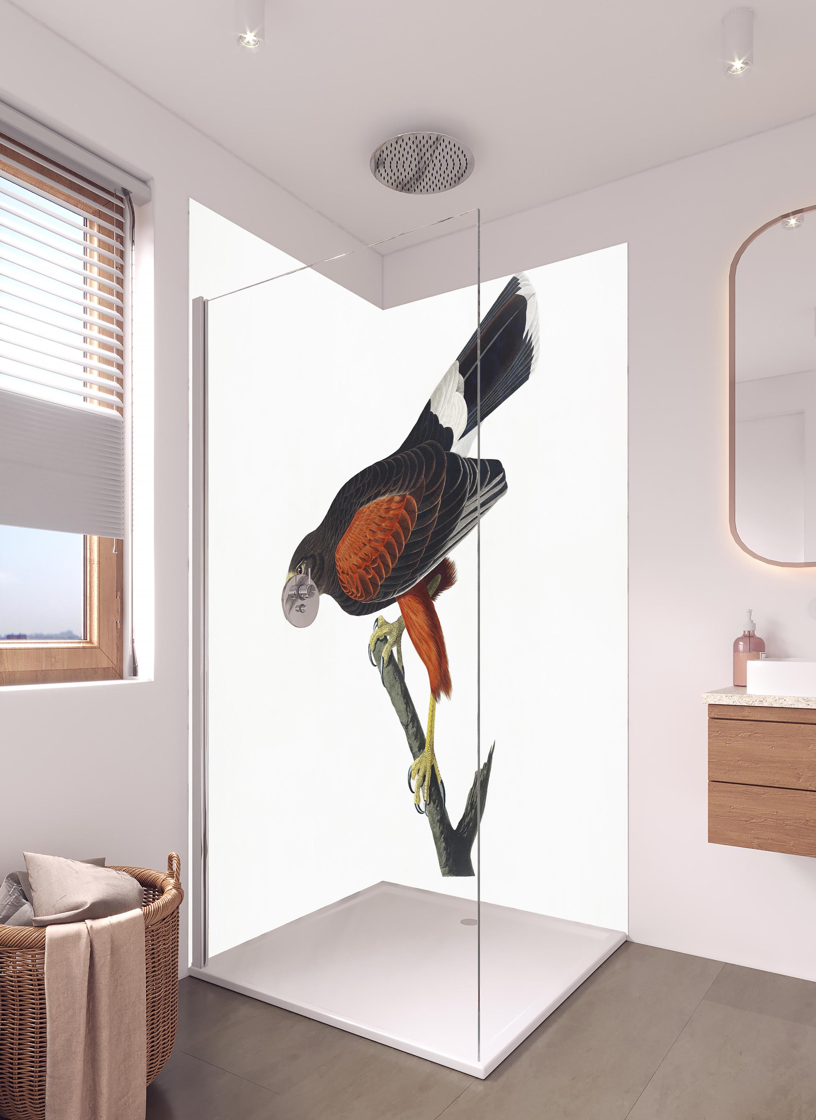 Duschrückwand - Falken Portrait - John James Audubon in hellem Badezimmer mit Regenduschkopf - zweiteilige Eck-Duschrückwand