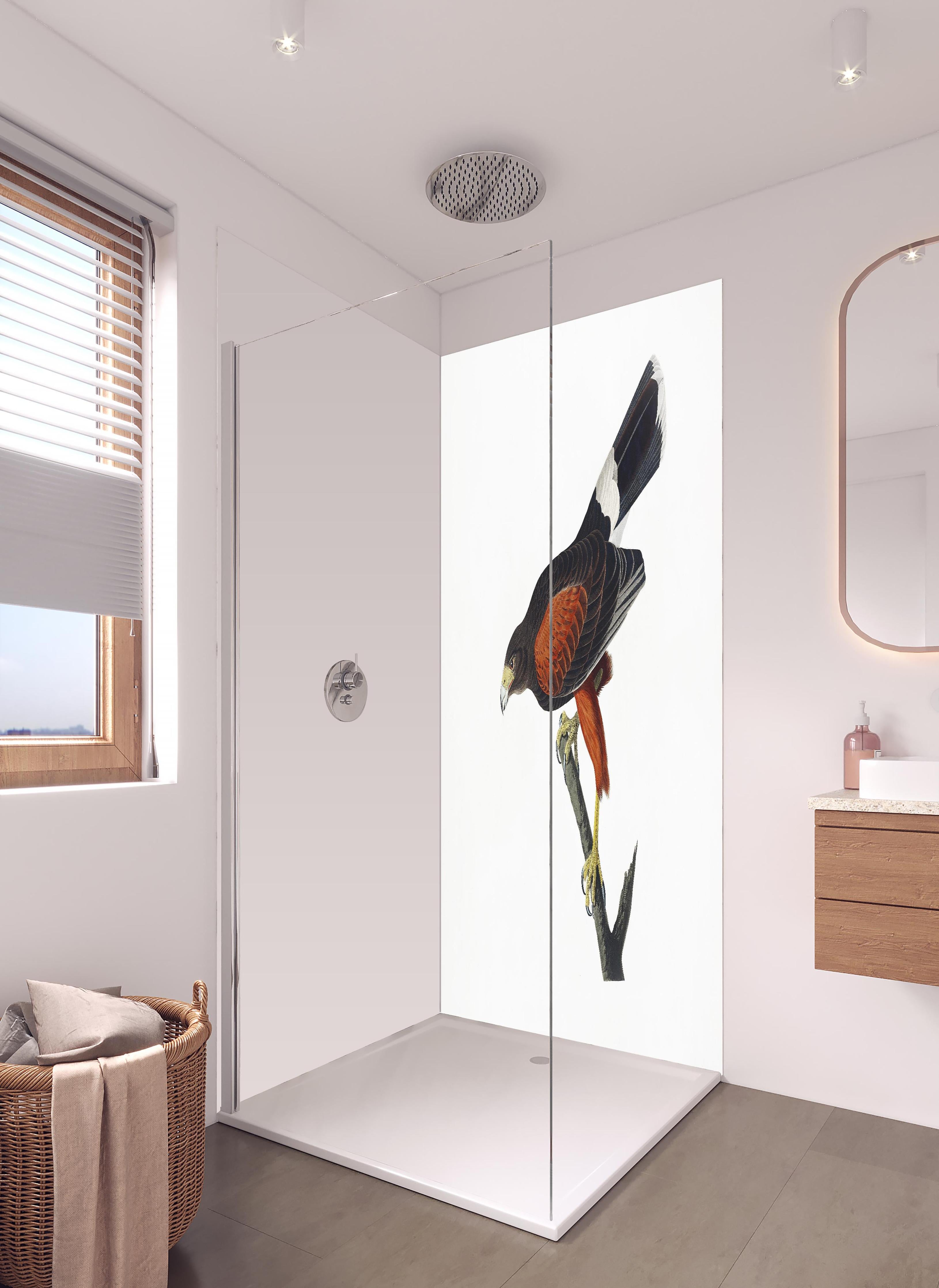 Duschrückwand - Falken Portrait - John James Audubon in hellem Badezimmer mit Regenduschkopf - zweiteilige Eck-Duschrückwand
