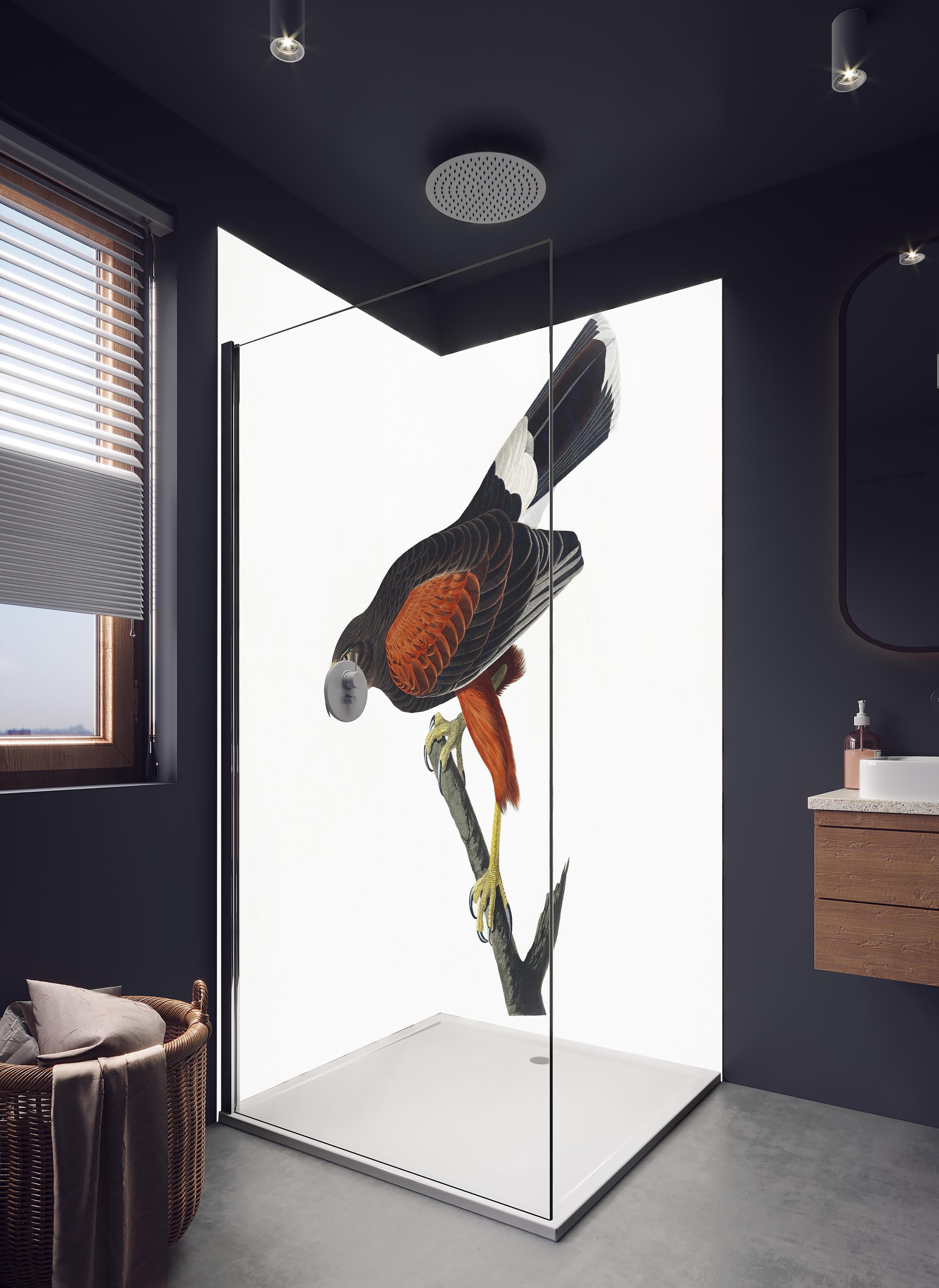Duschrückwand - Falken Portrait - John James Audubon in hellem Badezimmer mit Regenduschkopf - zweiteilige Eck-Duschrückwand